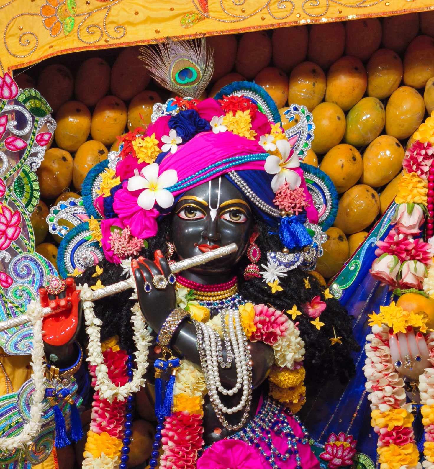 Sringar Darshan photo 7 of 12 — 23 May 2025