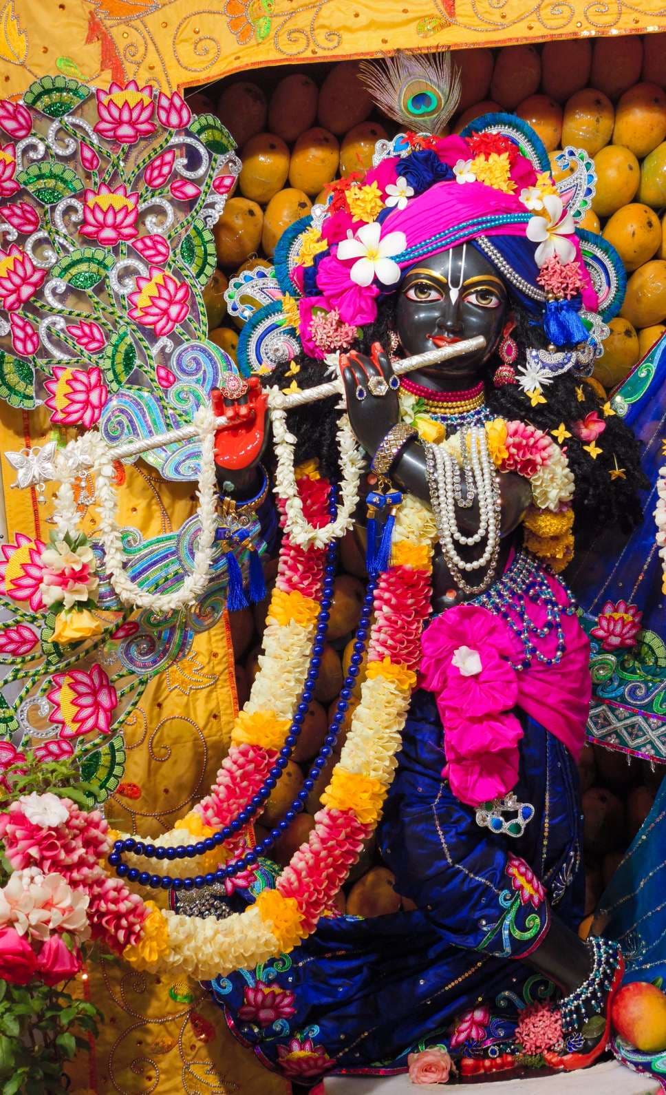 Sringar Darshan photo 11 of 12 — 23 May 2025