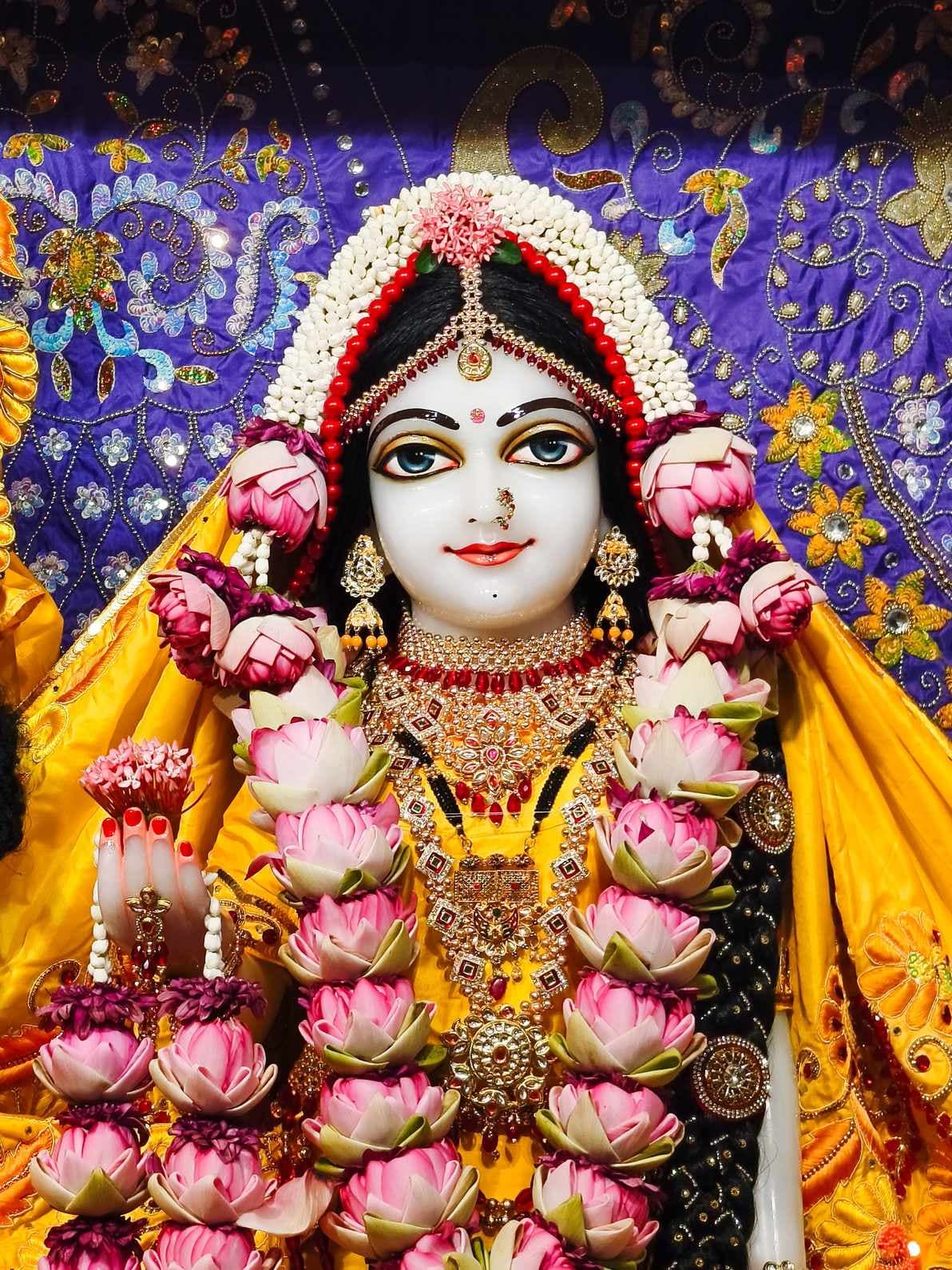 Sringar Darshan photo 4 of 12 — 24 May 2025