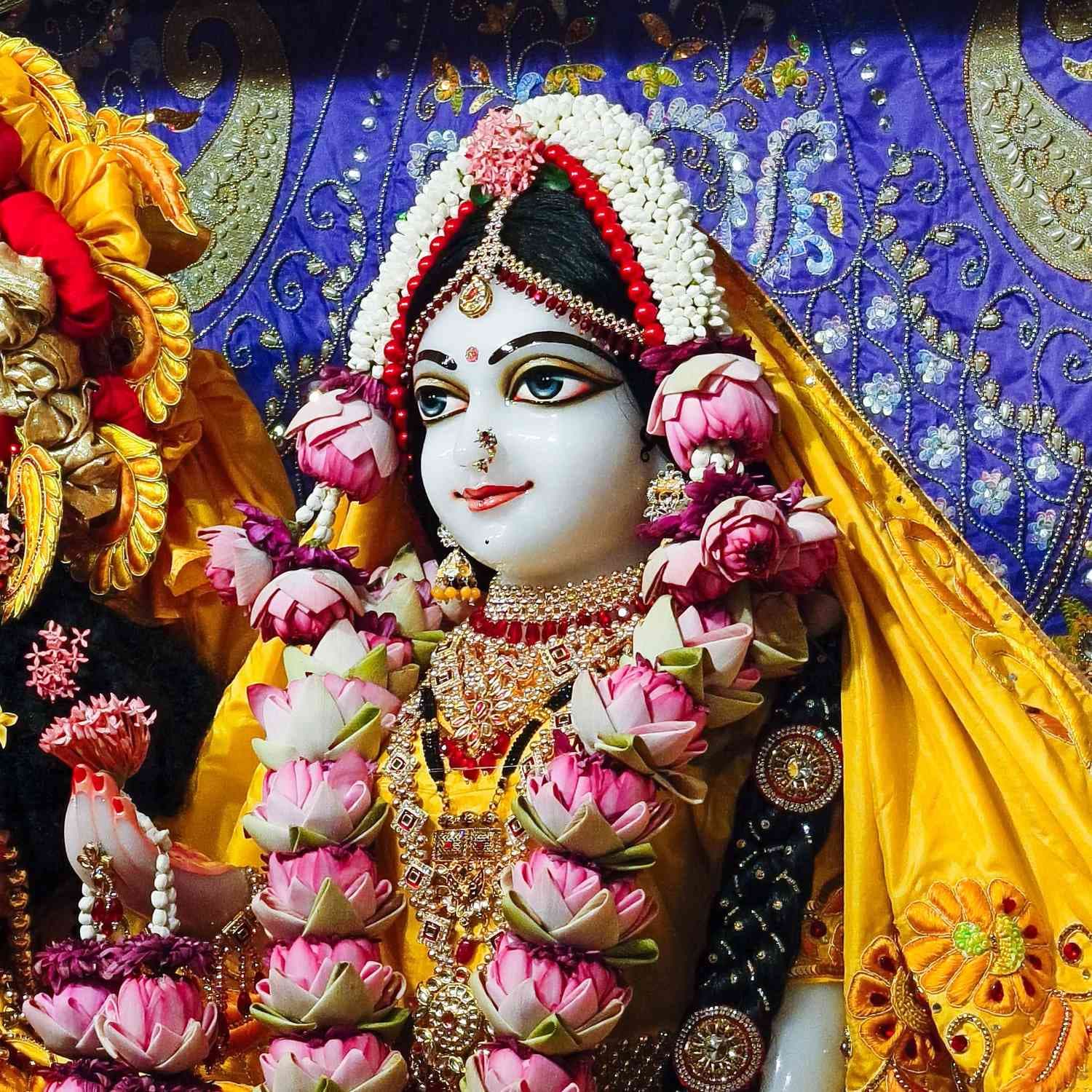 Sringar Darshan photo 9 of 12 — 24 May 2025