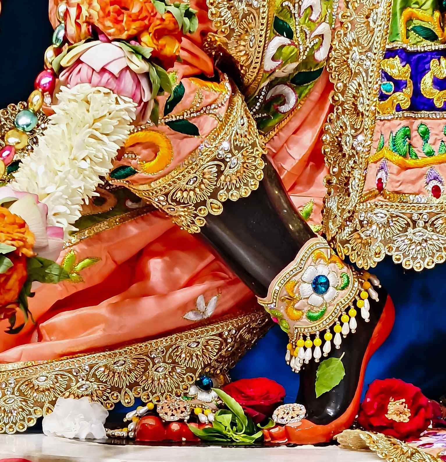 Sringar Darshan photo 11 of 12 — 4 June 2025