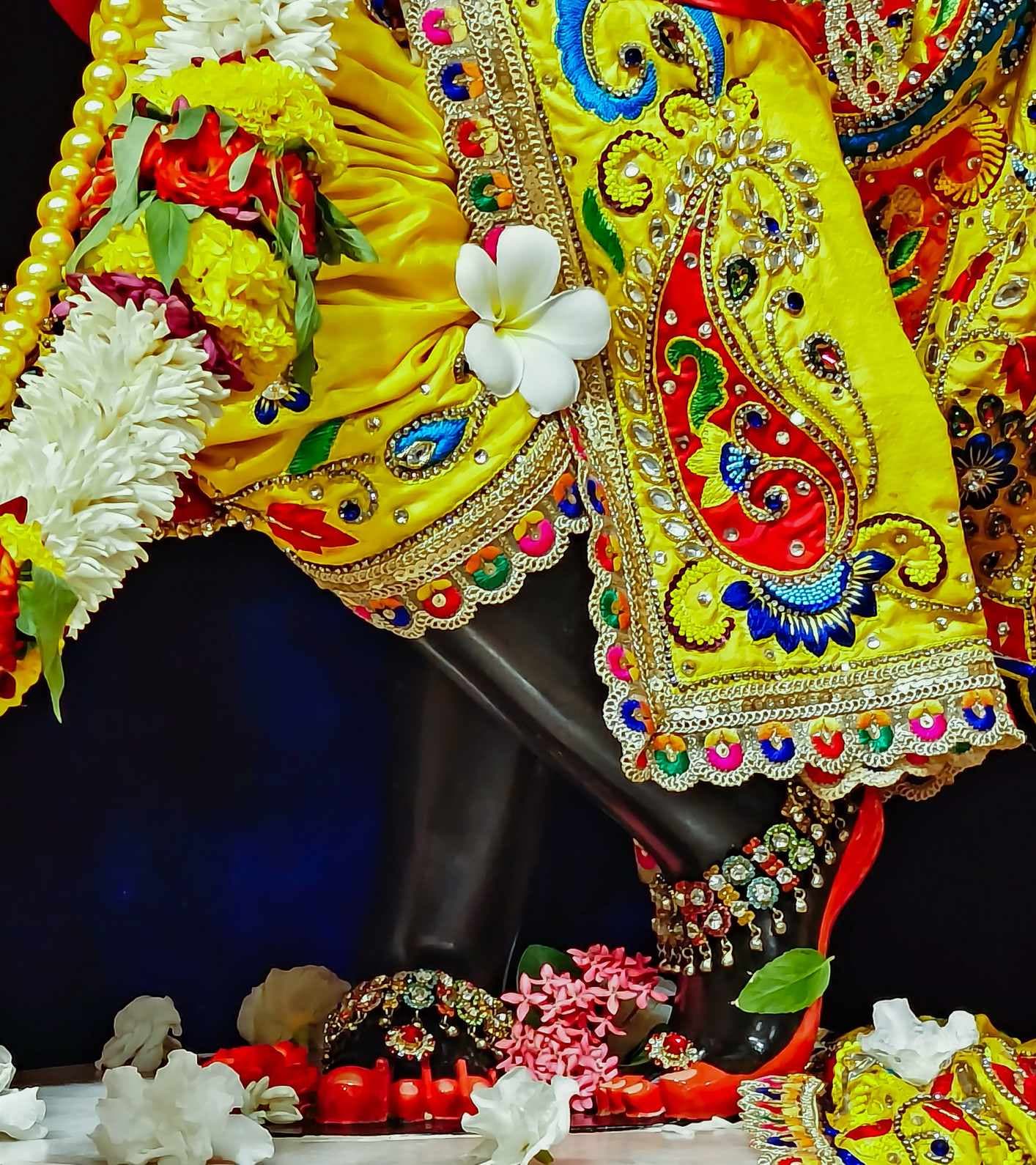 Sringar Darshan photo 7 of 12 — 5 June 2025