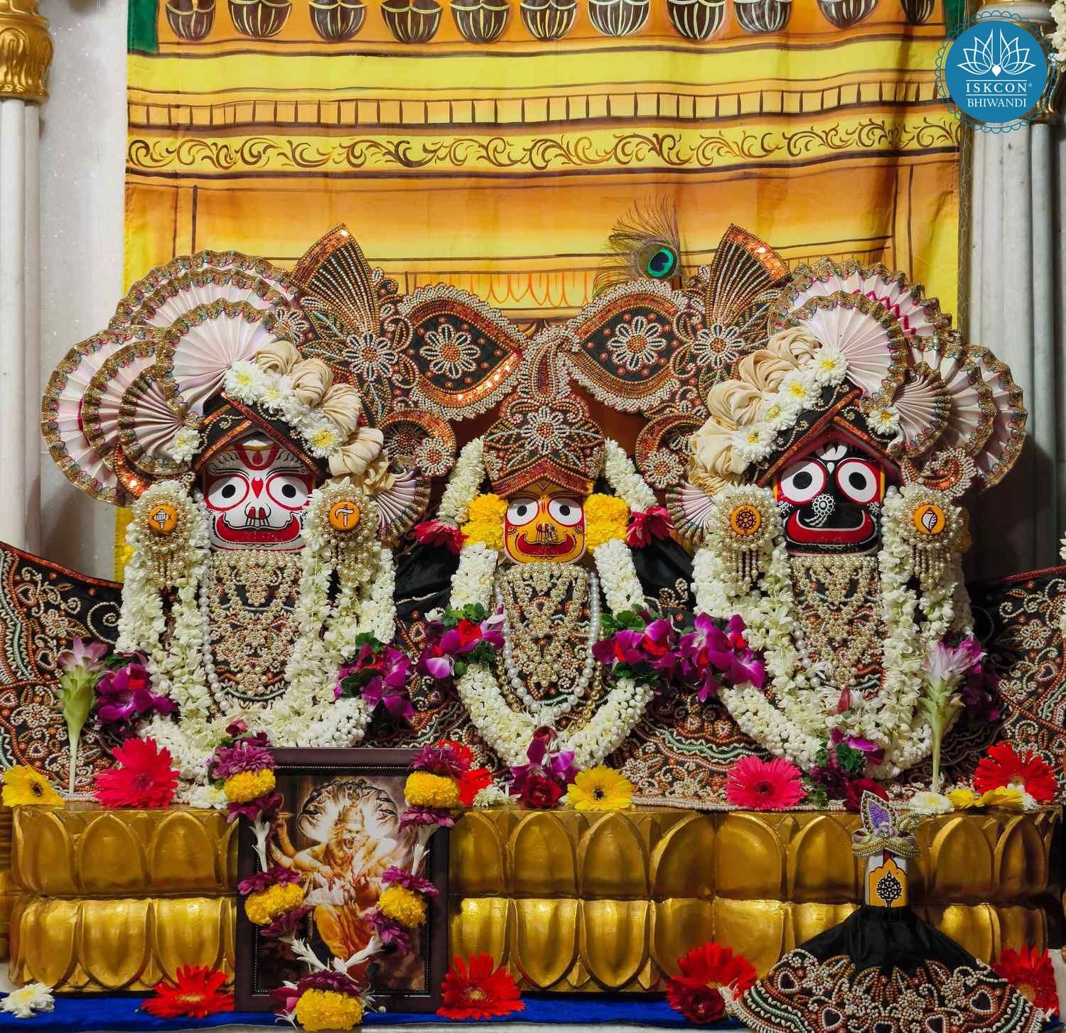 Sringar Darshan photo 9 of 12 — 11 June 2025
