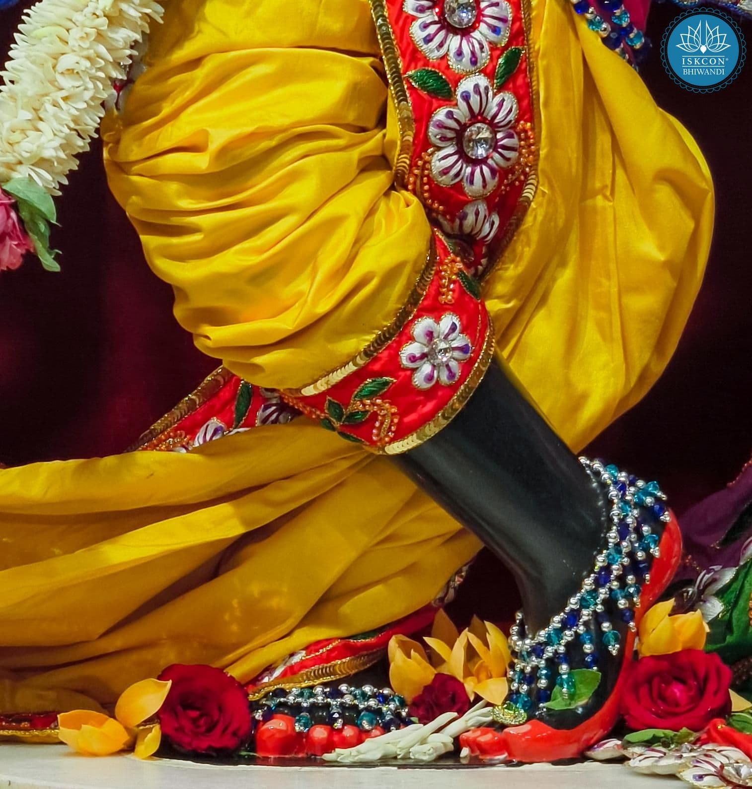 Sringar Darshan photo 8 of 12 — 13 June 2025