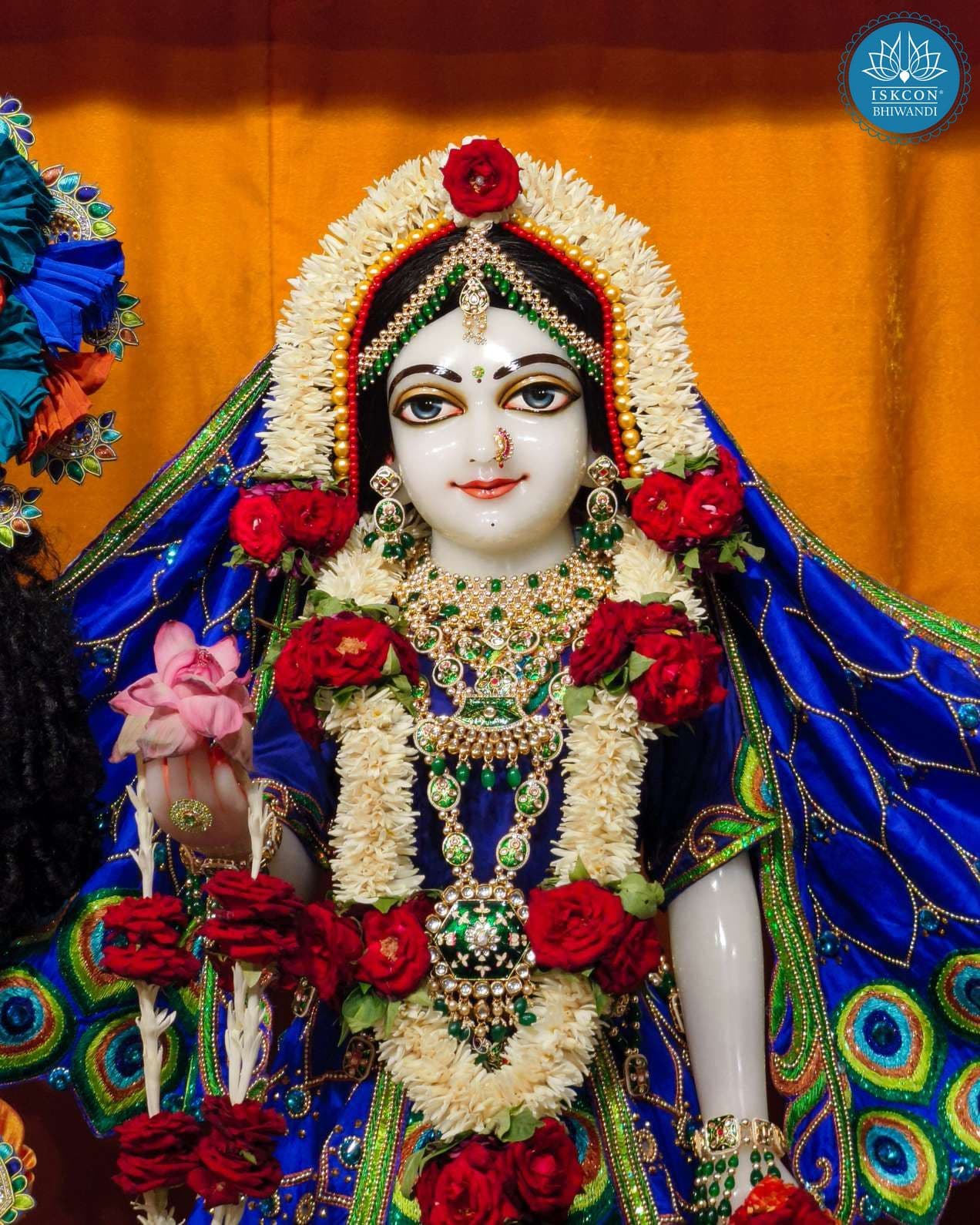 Sringar Darshan photo 6 of 12 — 14 June 2025