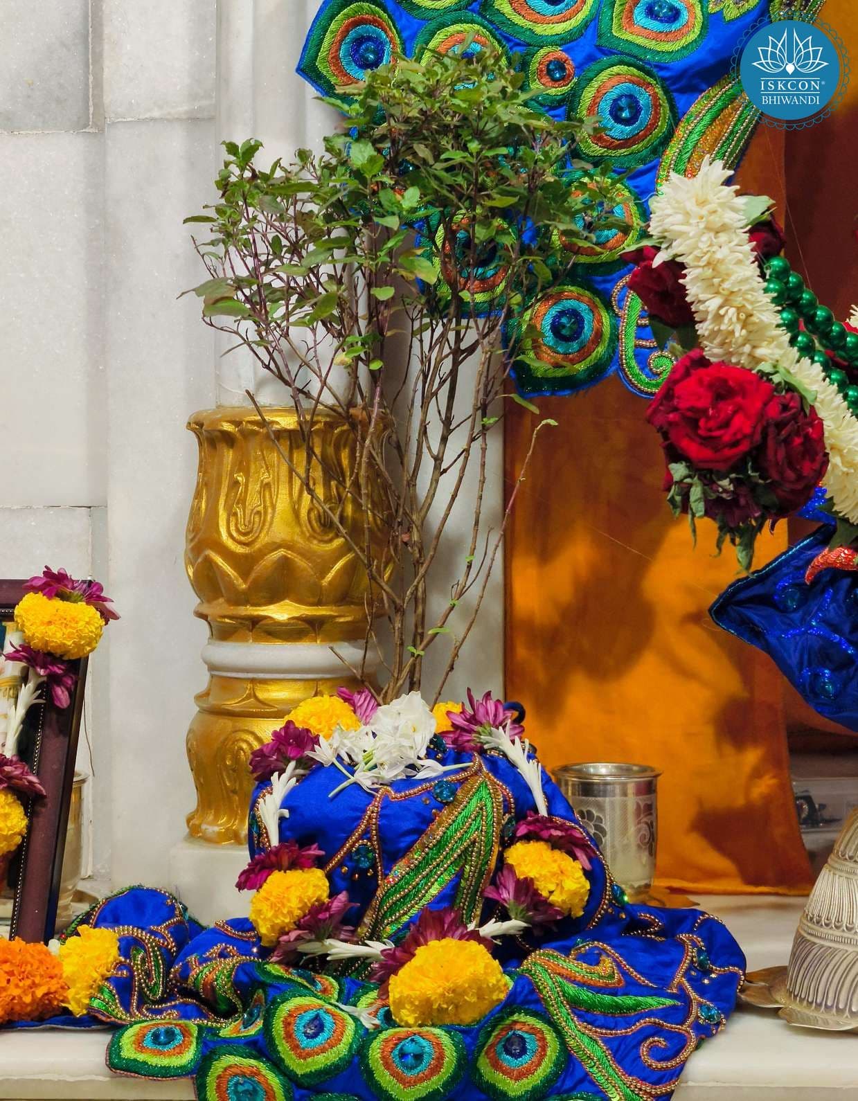 Sringar Darshan photo 9 of 12 — 14 June 2025