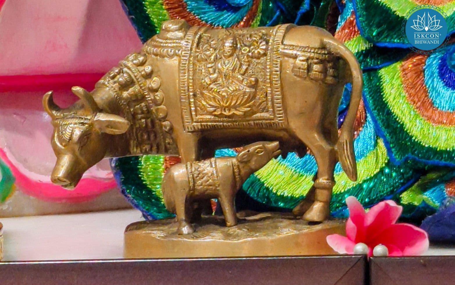 Sringar Darshan photo 7 of 12 — 14 June 2025