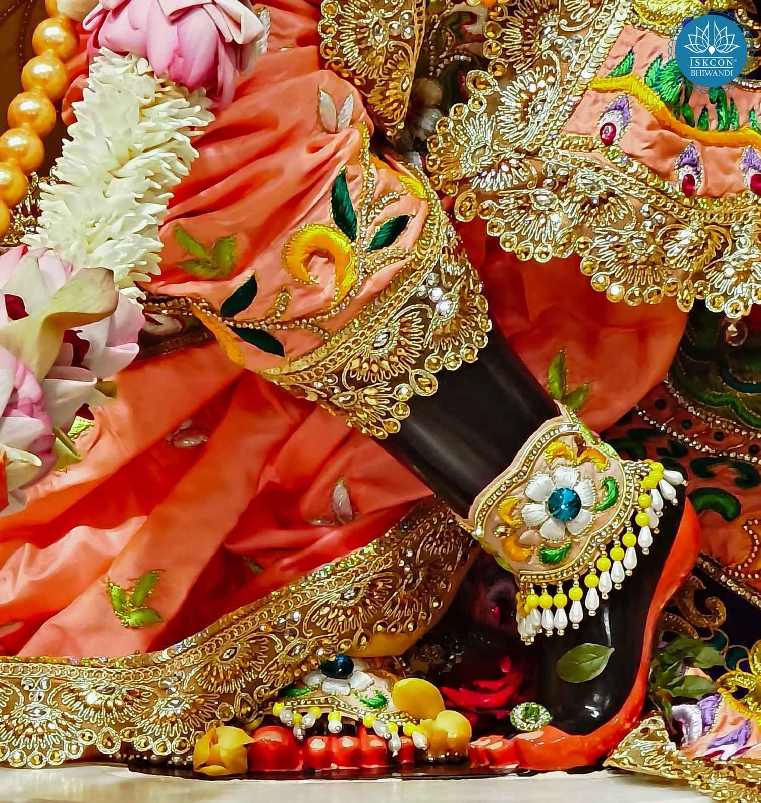 Sringar Darshan photo 3 of 9 — 18 June 2025