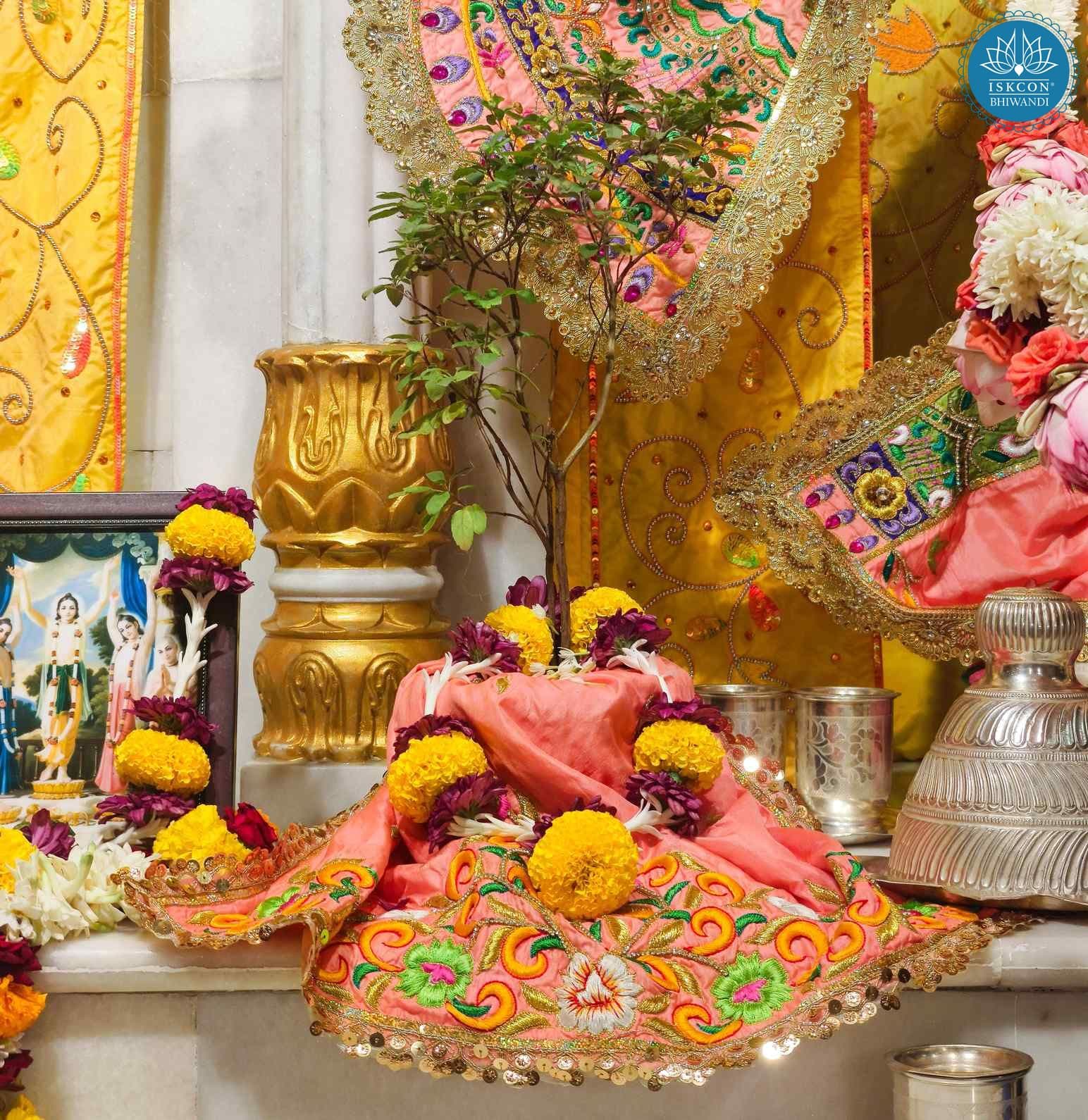 Sringar Darshan photo 8 of 9 — 18 June 2025