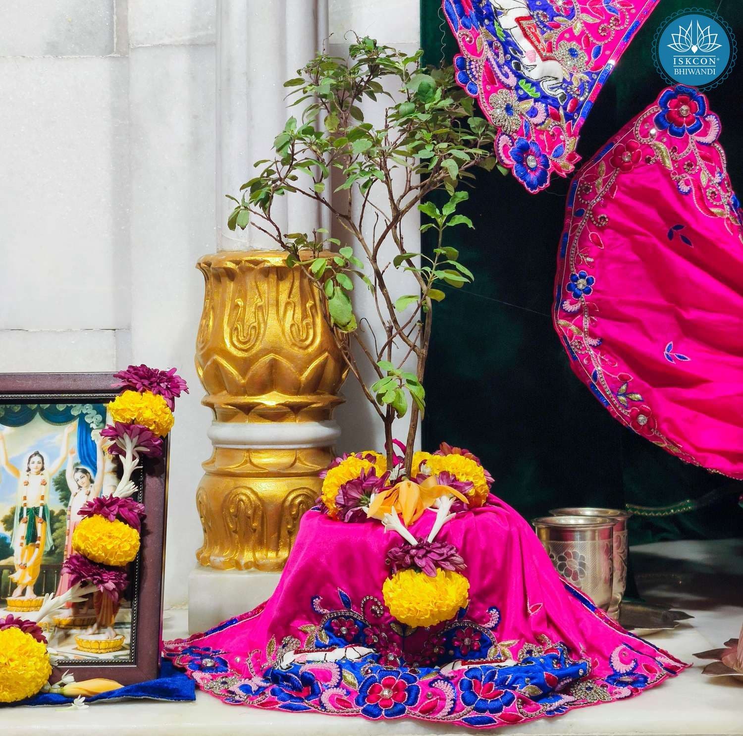 Sringar Darshan photo 7 of 9 — 20 June 2025