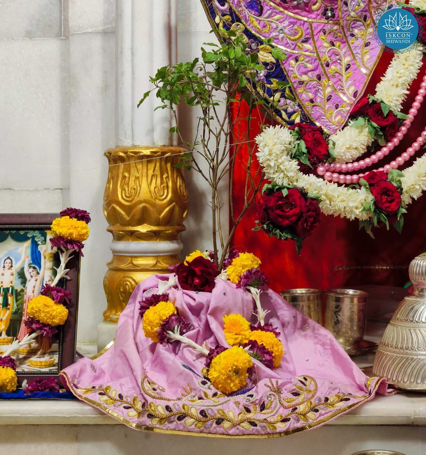 Sringar Darshan photo 8 of 9 — 21 June 2025