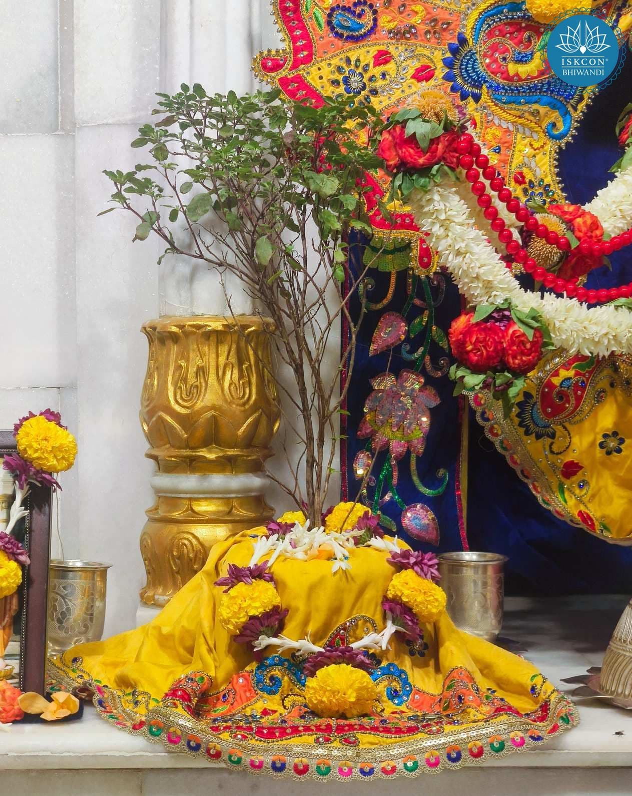Sringar Darshan photo 8 of 9 — 26 June 2025