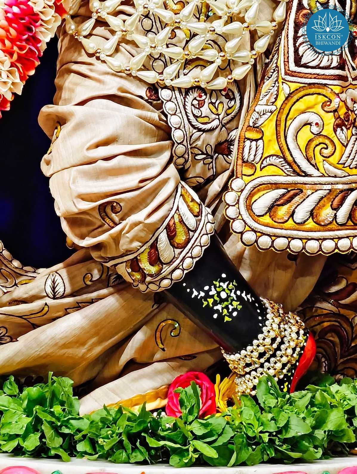 Sringar Darshan photo 2 of 12 — 28 June 2025