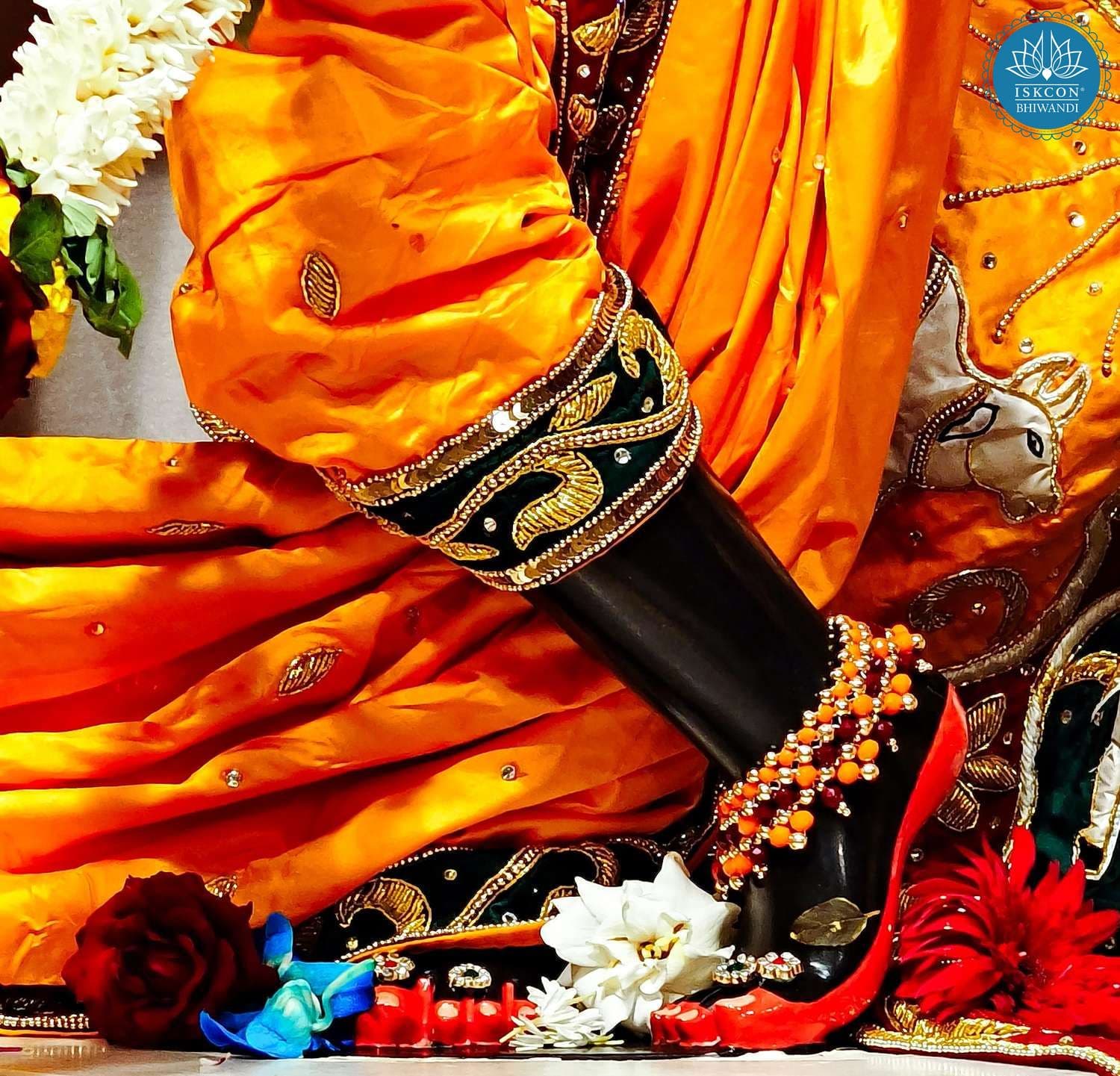 Sringar Darshan photo 3 of 12 — 1 July 2025