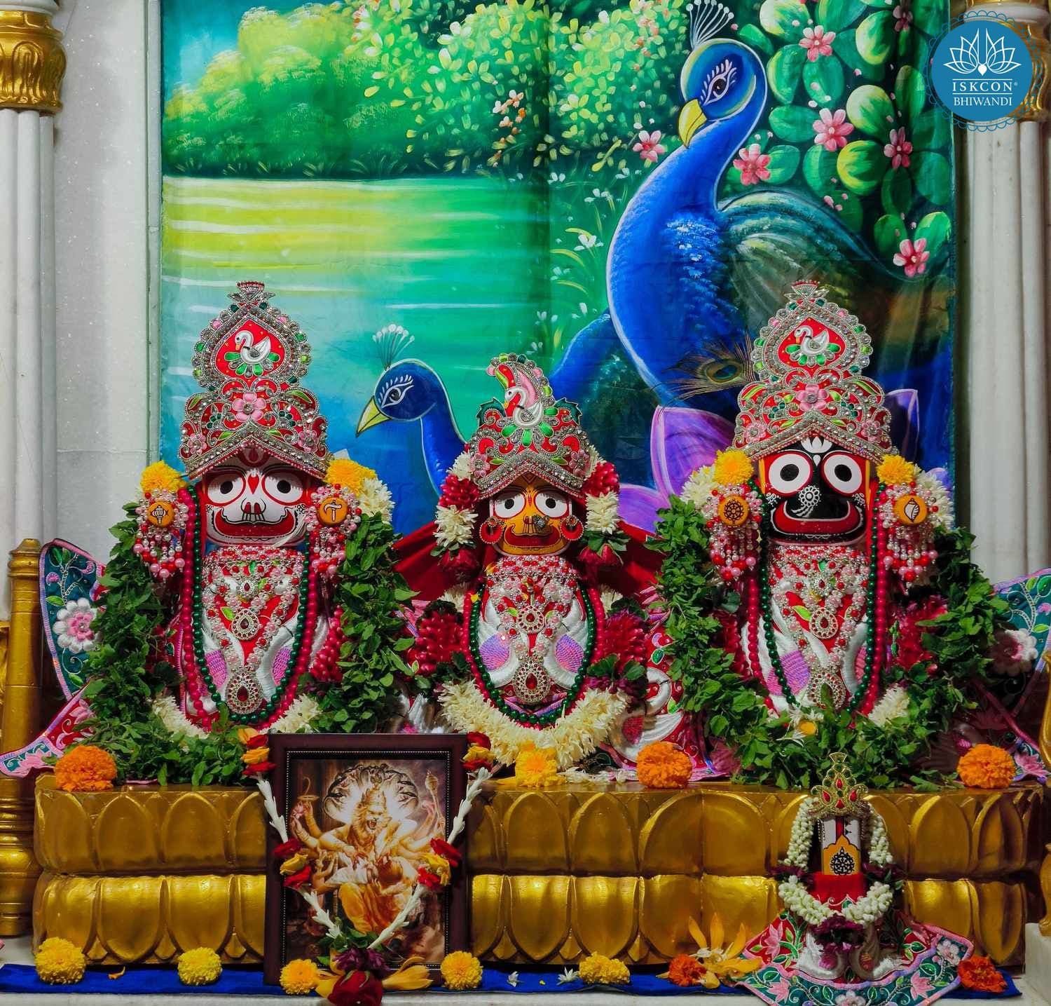 Sringar Darshan photo 4 of 12 — 5 August 2025