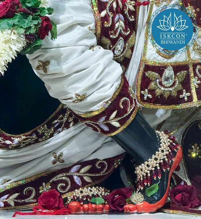 Sringar Darshan photo 11 of 12 — 11 August 2025