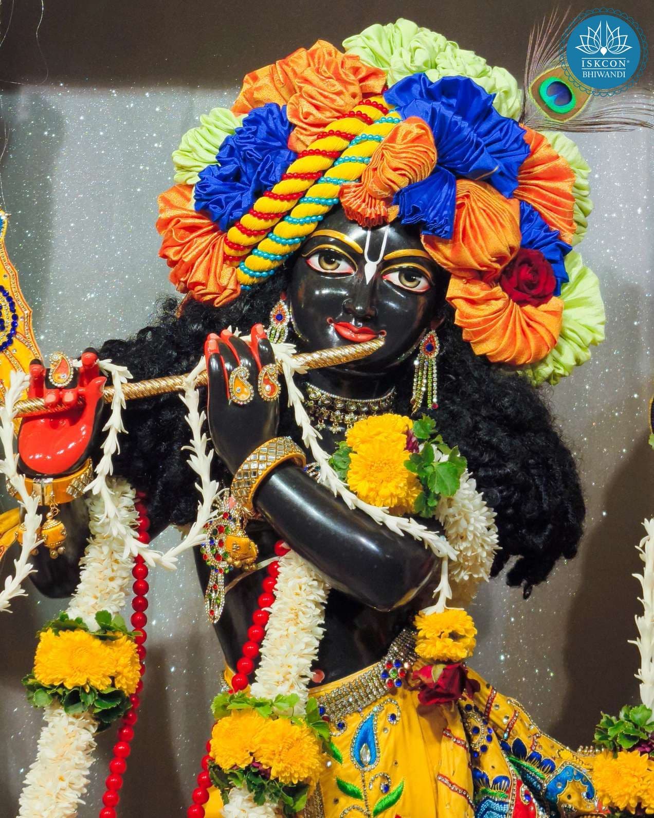 Sringar Darshan photo 11 of 12 — 14 August 2025