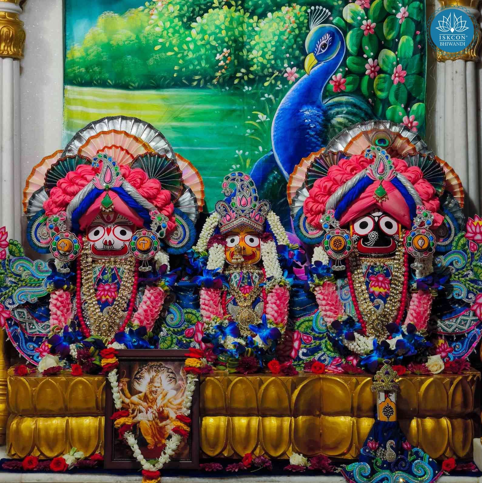 Sringar Darshan photo 4 of 12 — 15 August 2025