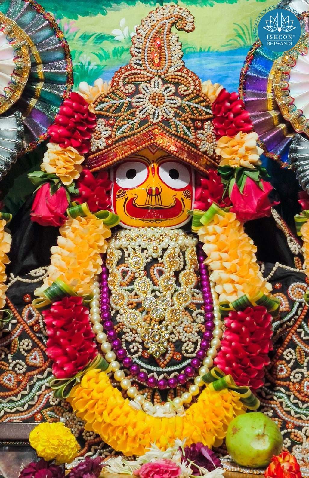 Sringar Darshan photo 8 of 12 — 17 August 2025