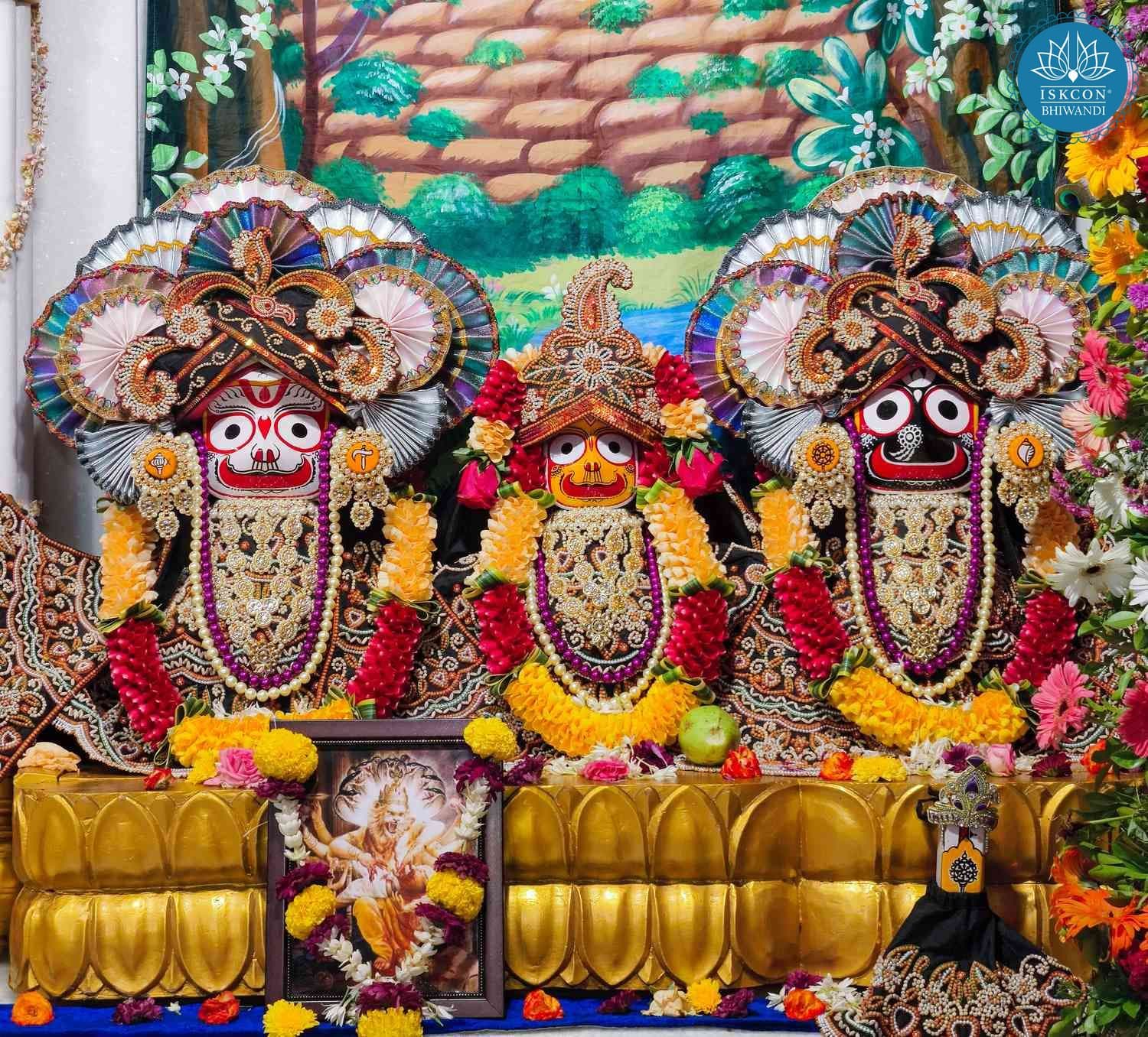 Sringar Darshan photo 4 of 12 — 17 August 2025
