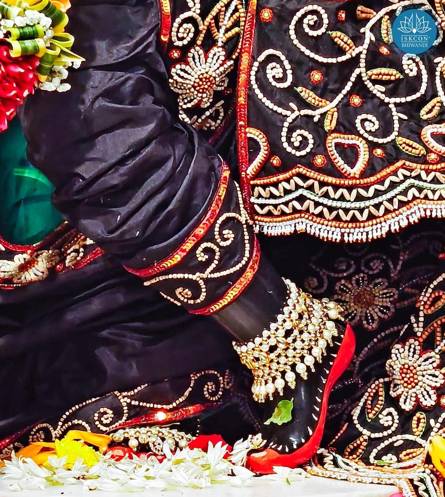 Sringar Darshan photo 5 of 12 — 17 August 2025
