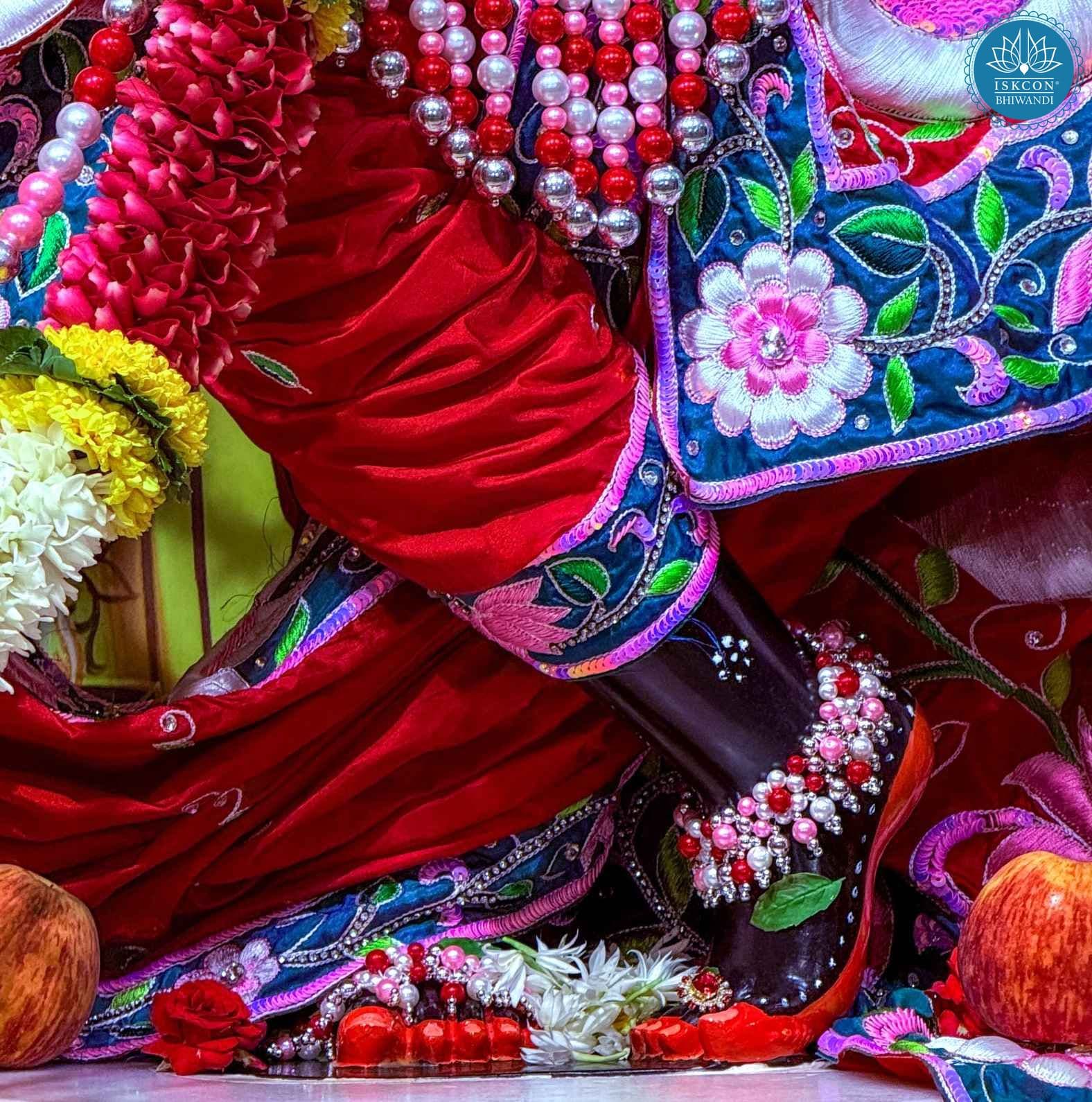 Sringar Darshan photo 12 of 12 — 19 August 2025