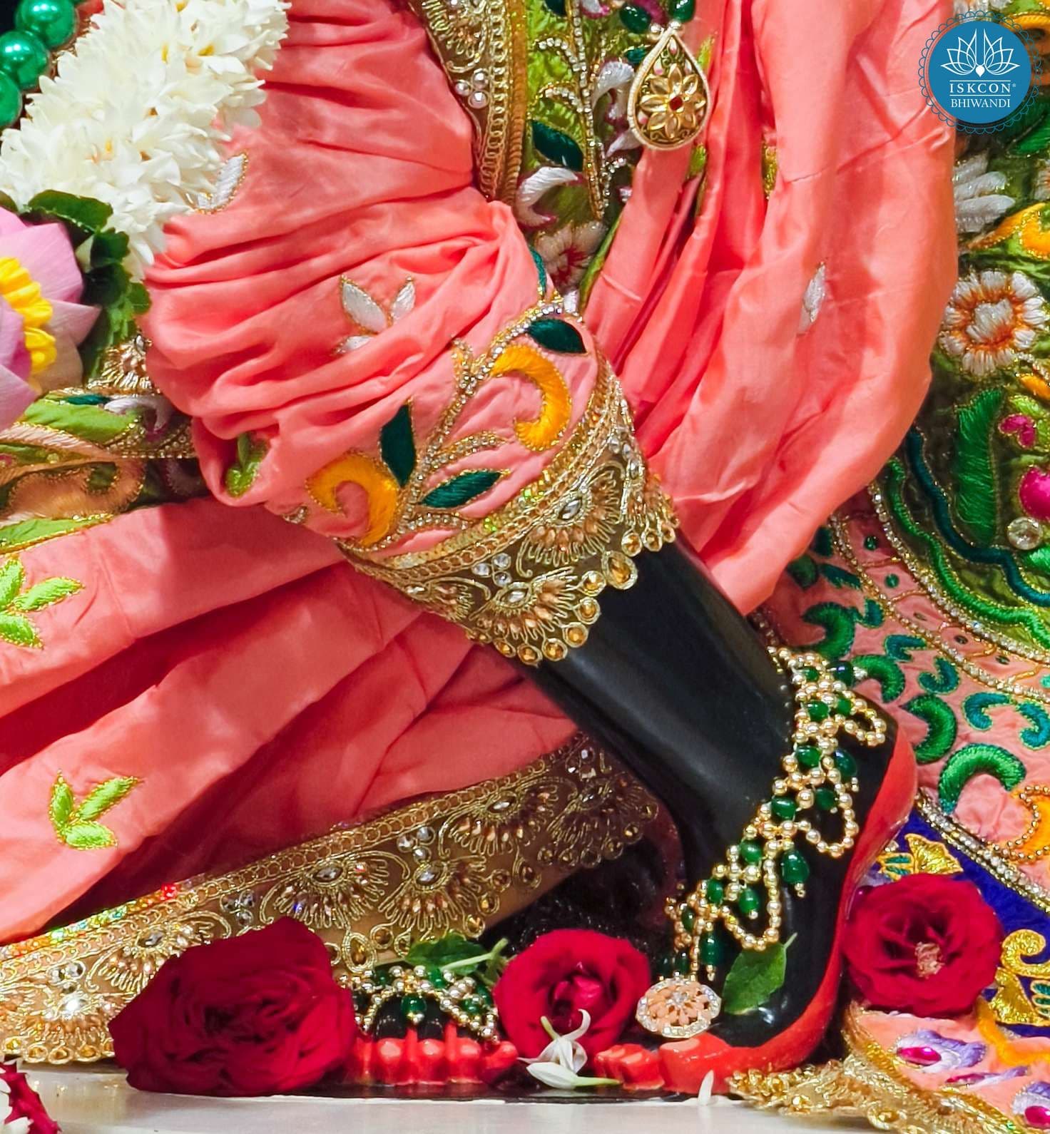 Sringar Darshan photo 3 of 12 — 20 August 2025