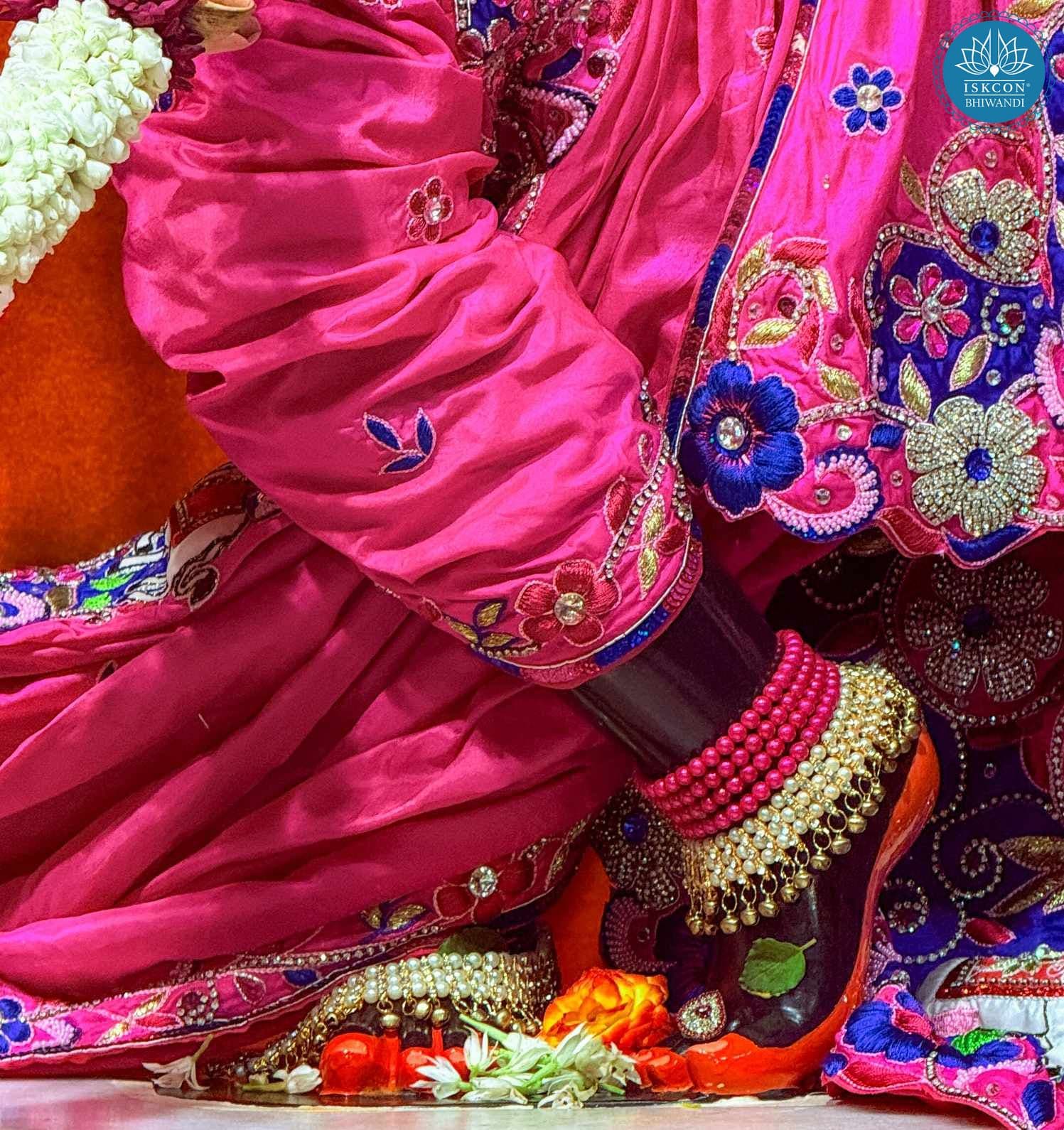 Sringar Darshan photo 12 of 12 — 22 August 2025