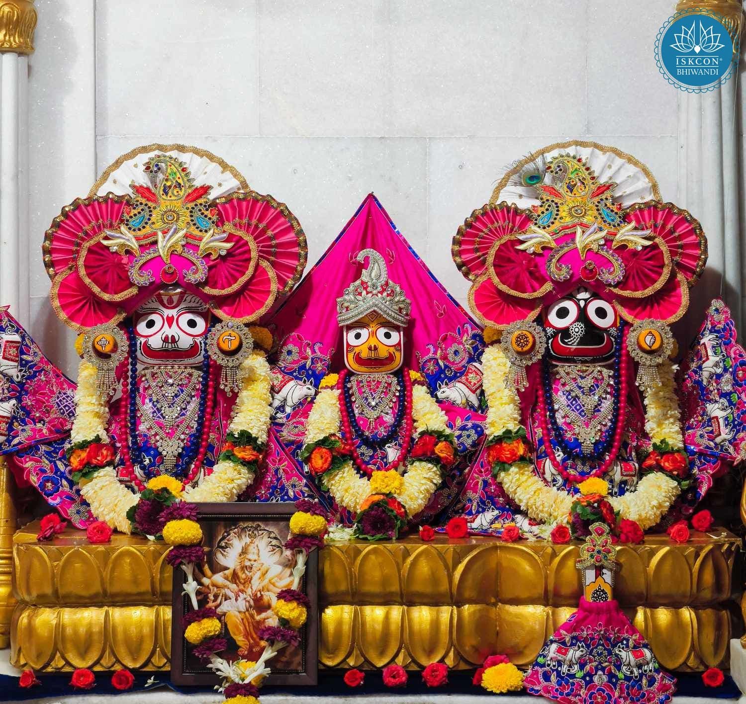 Sringar Darshan photo 3 of 12 — 22 August 2025