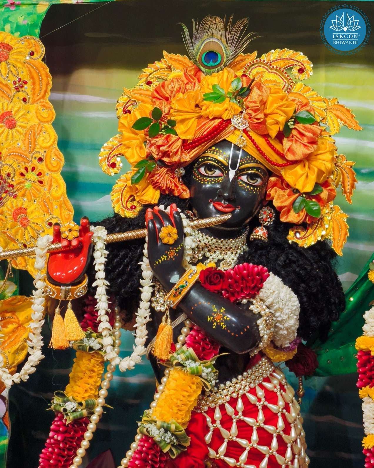 Sringar Darshan photo 11 of 12 — 24 August 2025