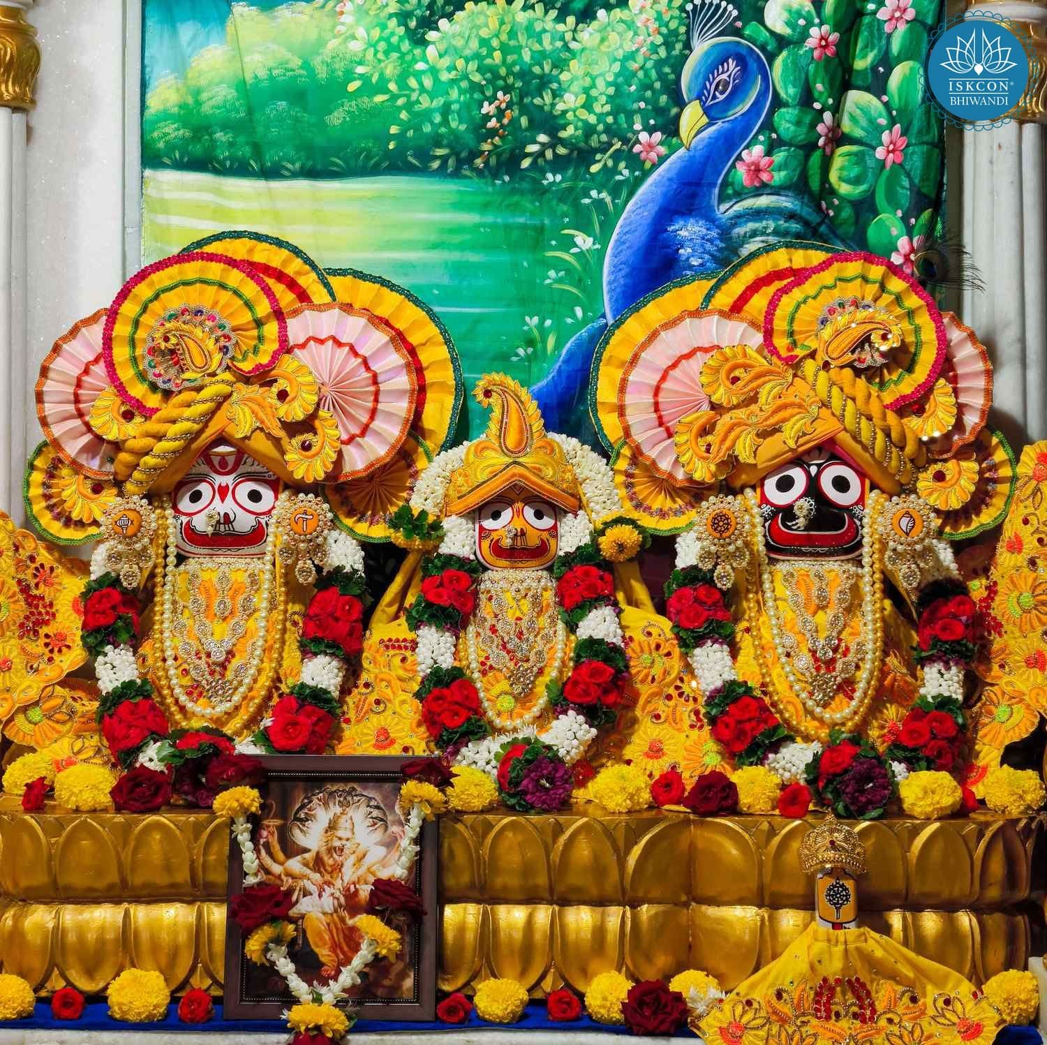 Sringar Darshan photo 4 of 12 — 24 August 2025