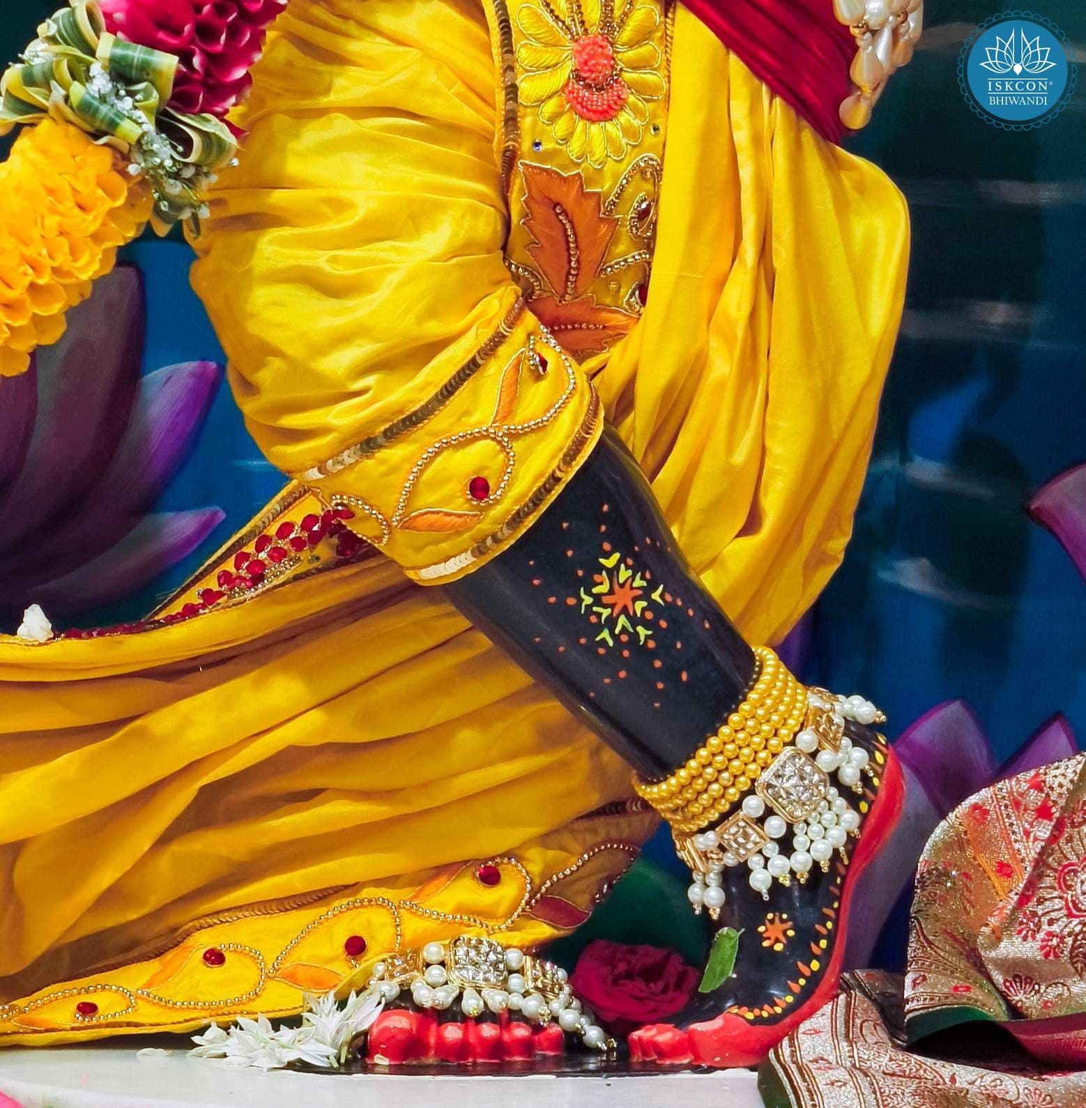 Sringar Darshan photo 3 of 12 — 24 August 2025