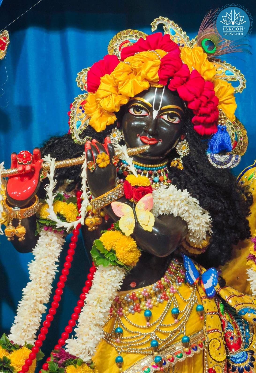 Sringar Darshan photo 11 of 12 — 28 August 2025