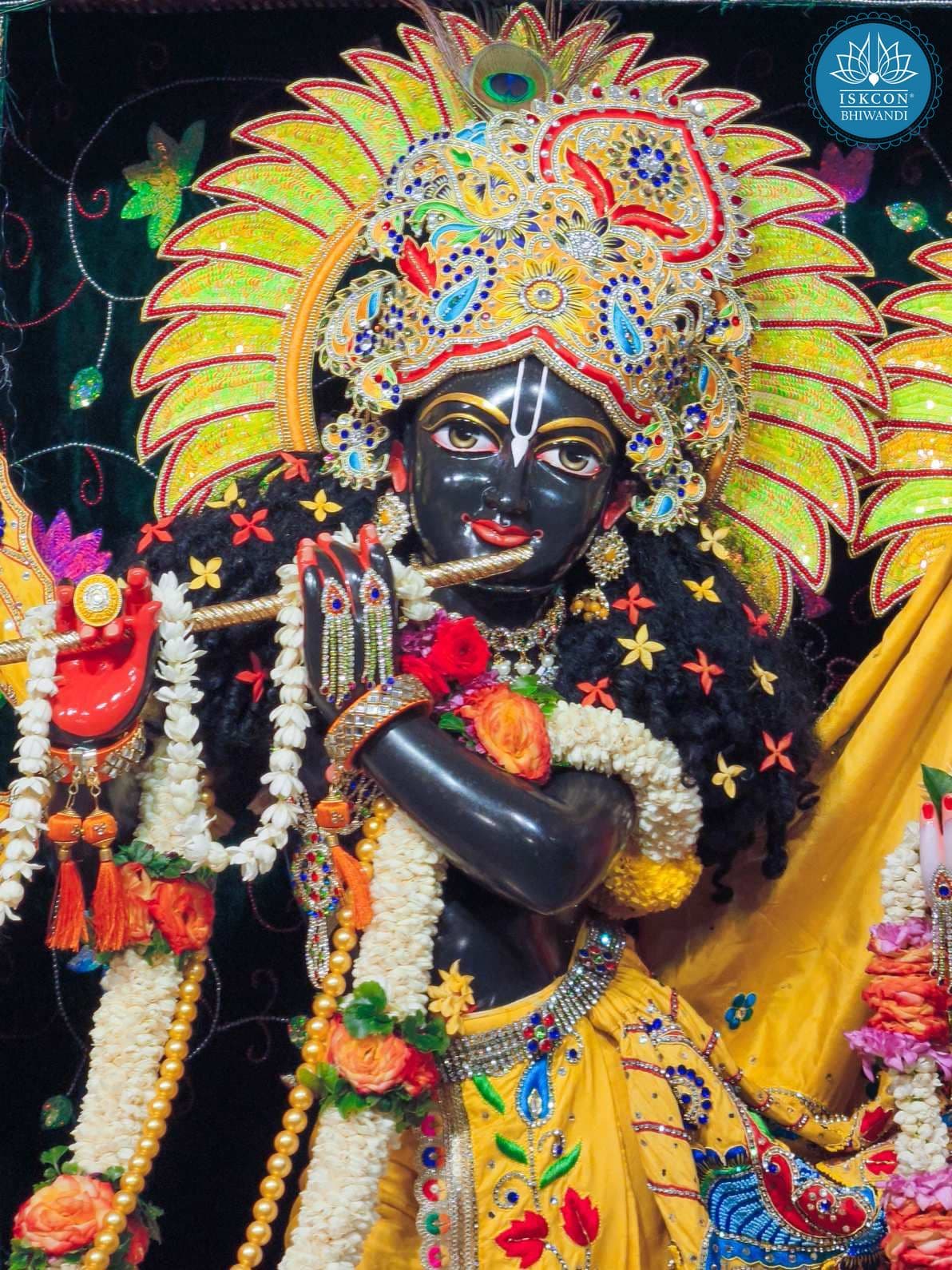 Sringar Darshan photo 11 of 12 — 18 September 2025