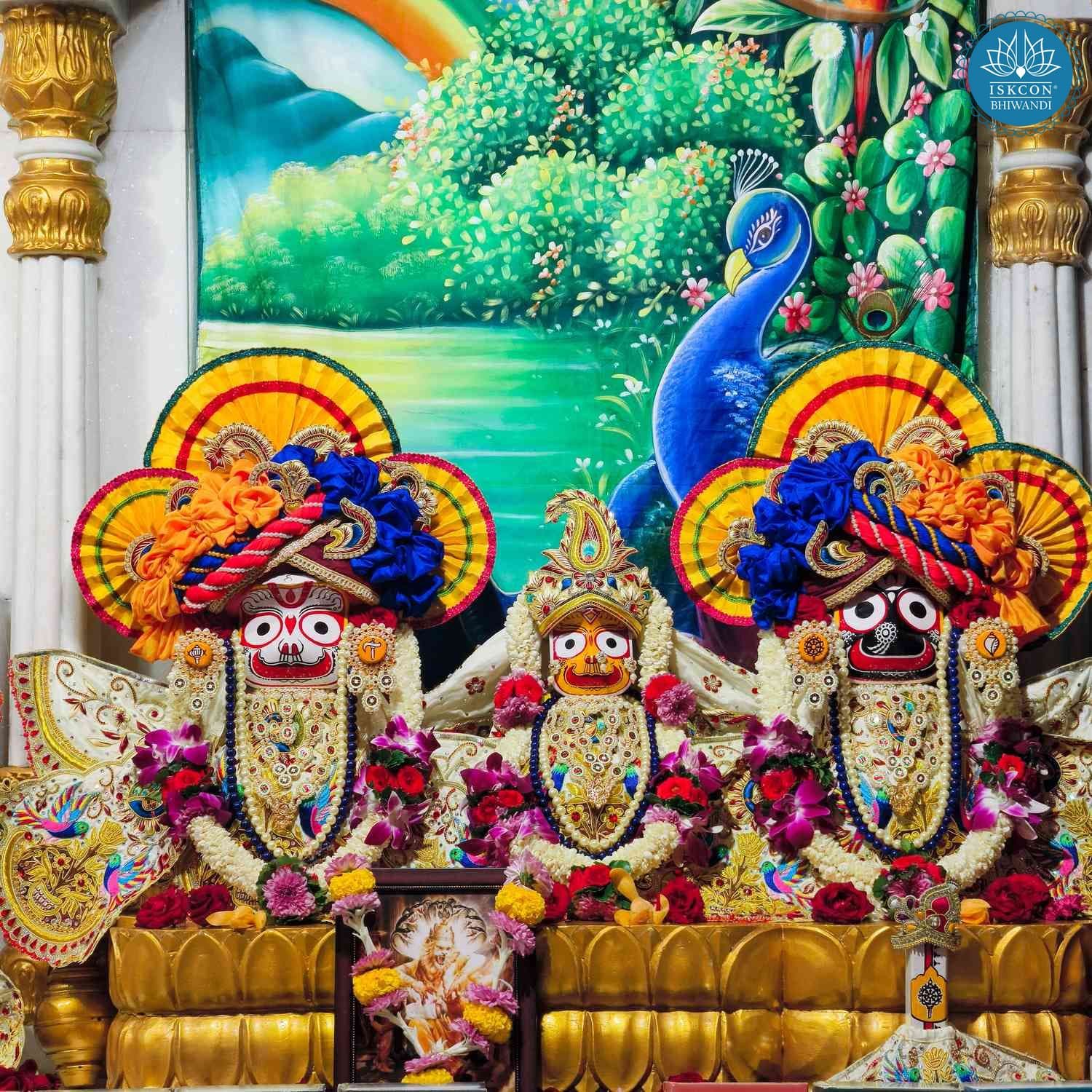 Sringar Darshan photo 3 of 12 — 7 October 2025
