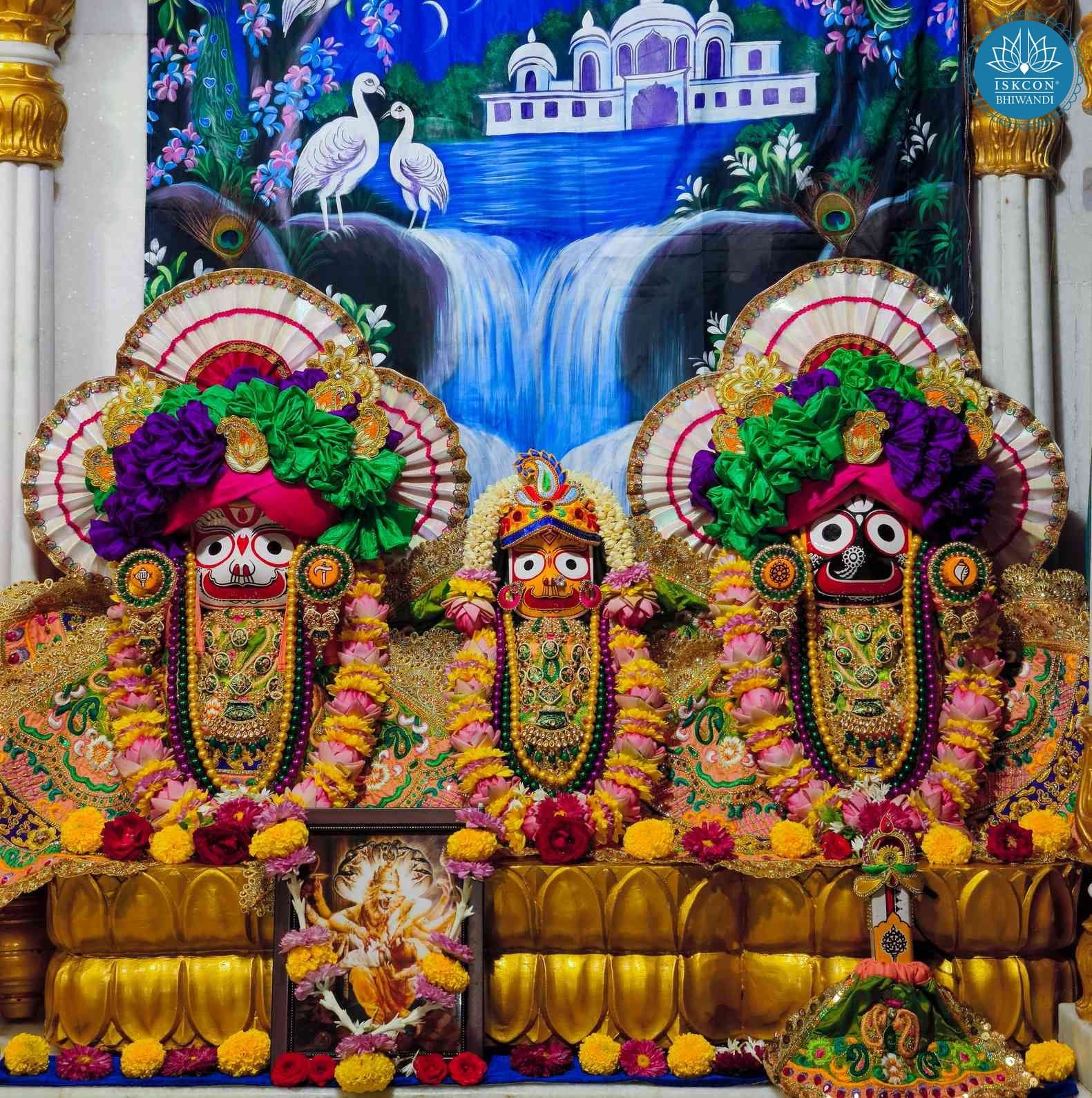 Sringar Darshan photo 3 of 12 — 8 October 2025