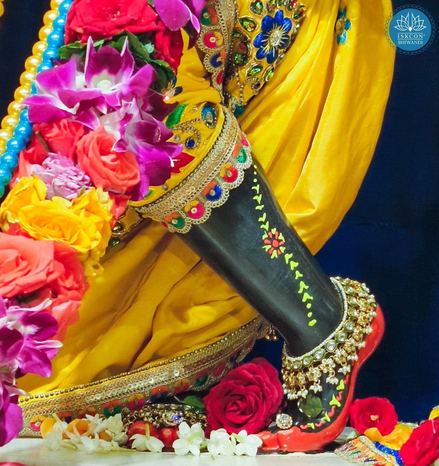 Sringar Darshan photo 11 of 12 — 9 October 2025