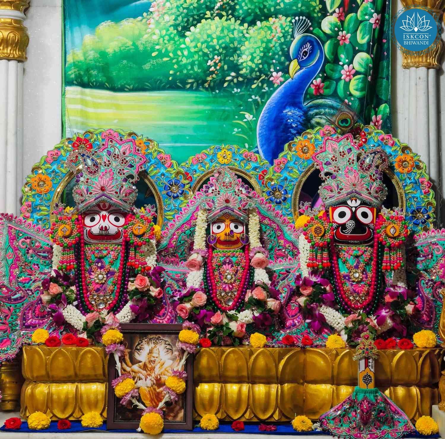 Sringar Darshan photo 3 of 12 — 15 October 2025