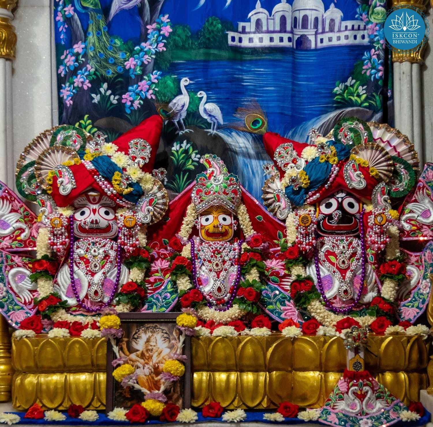 Sringar Darshan photo 11 of 12 — 17 October 2025