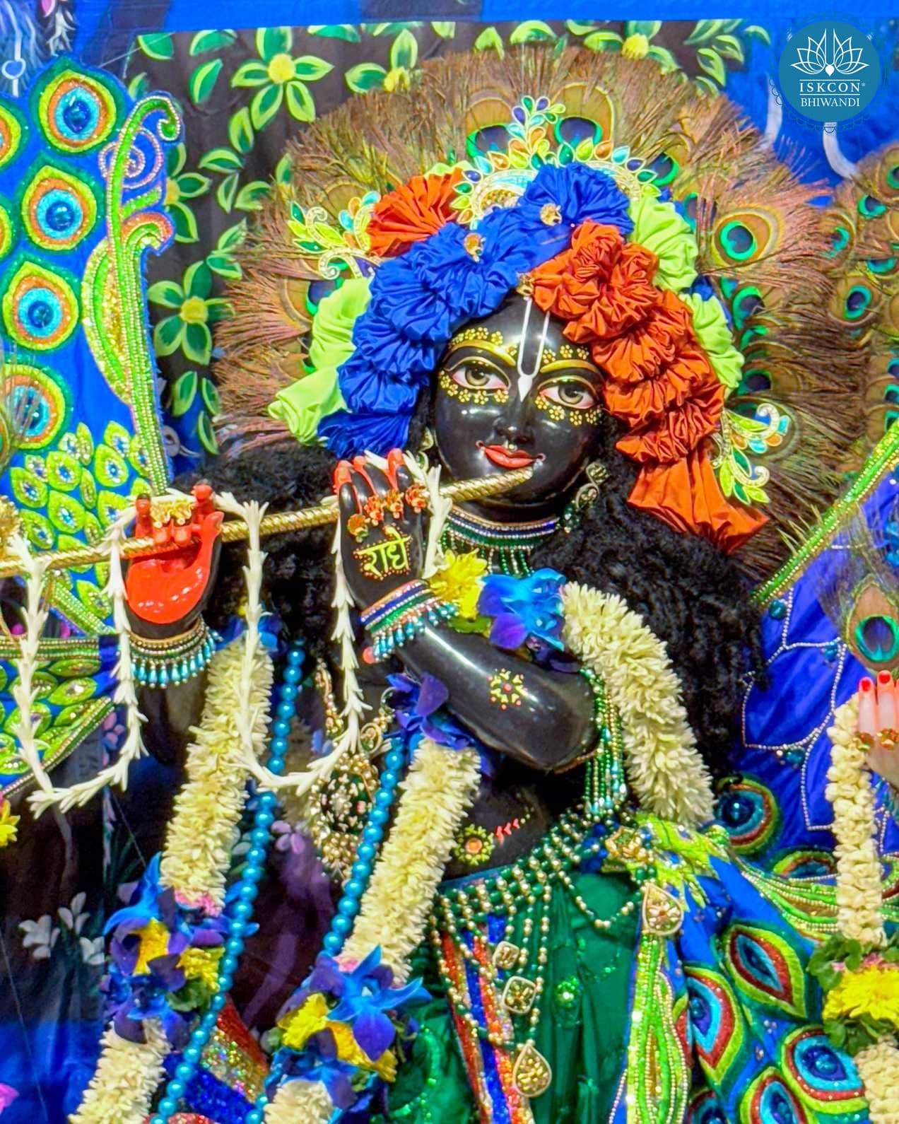 Sringar Darshan photo 11 of 12 — 18 October 2025