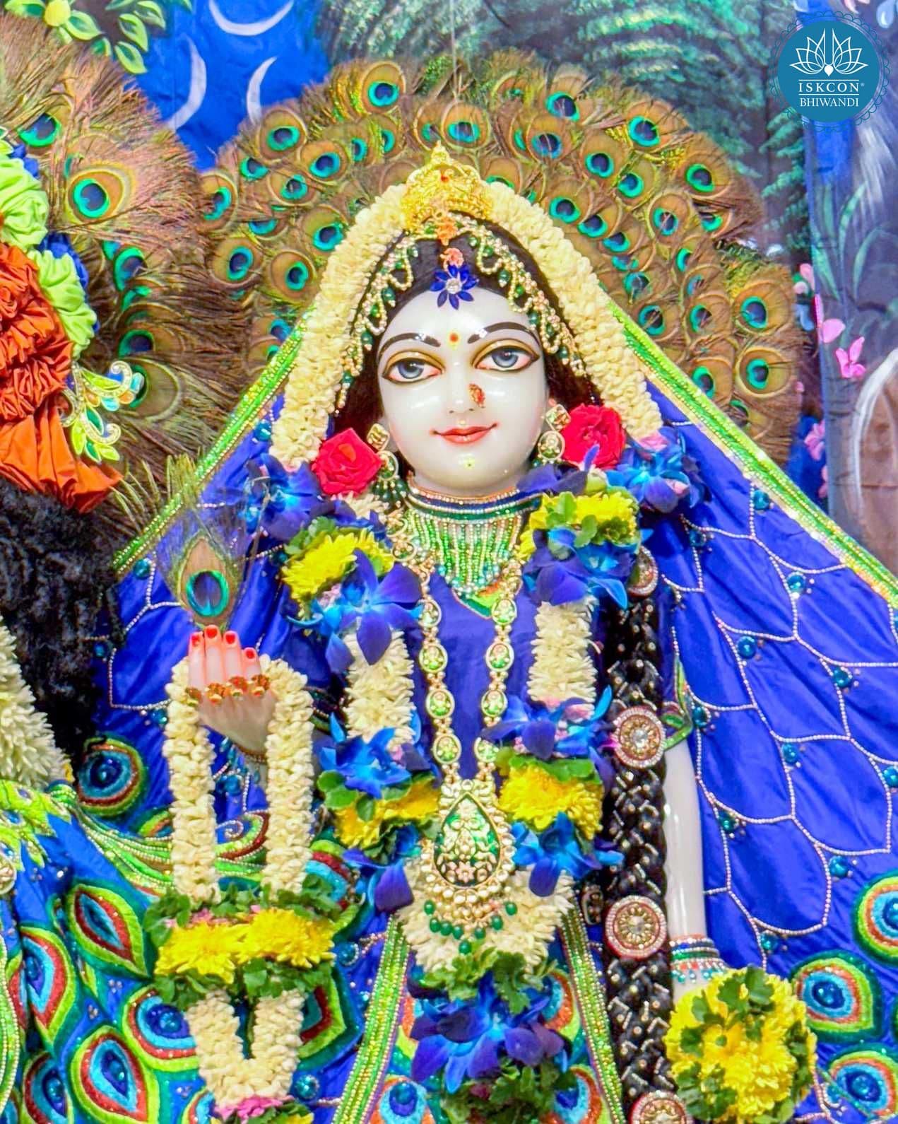 Sringar Darshan photo 12 of 12 — 18 October 2025