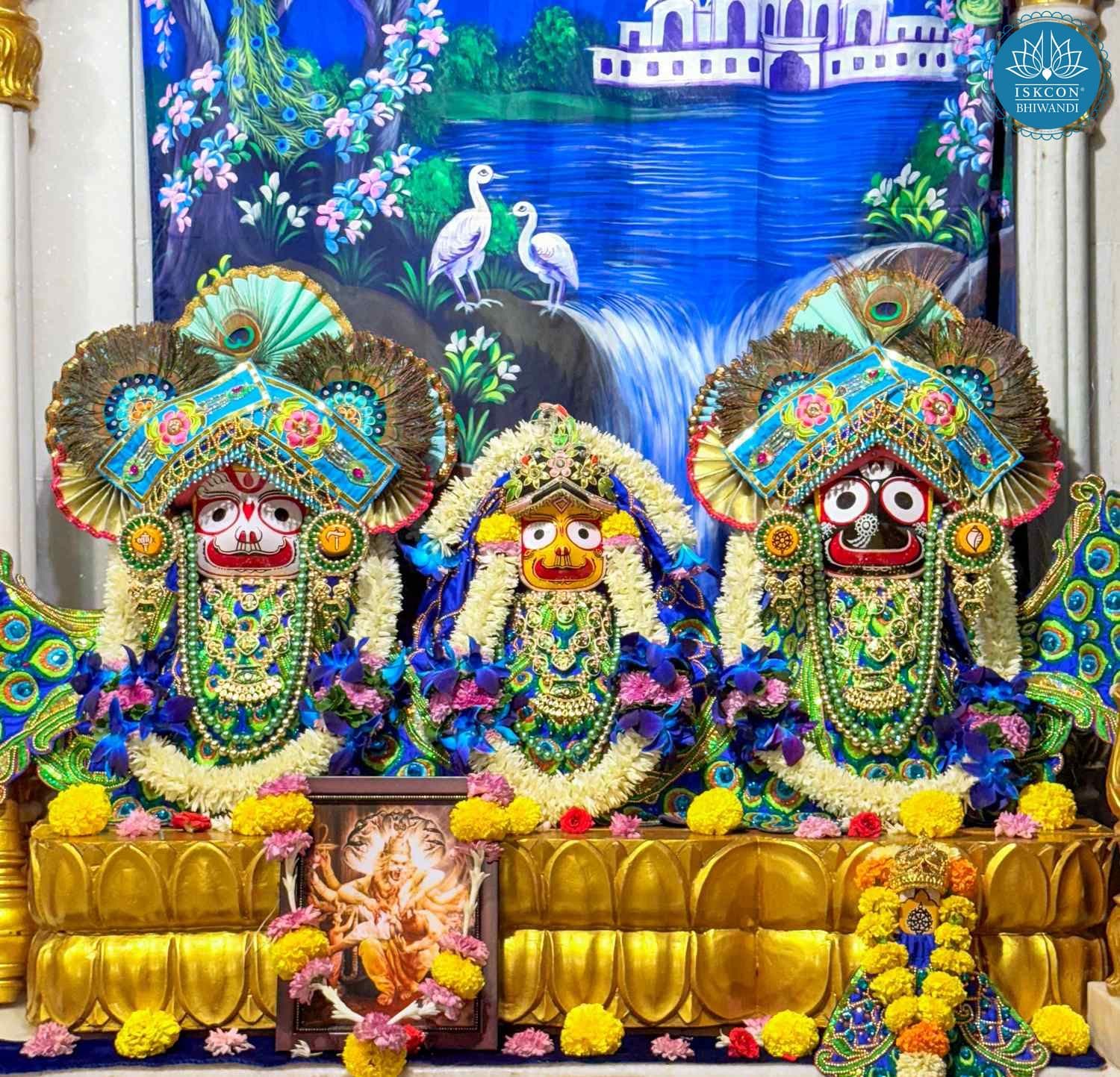 Sringar Darshan photo 4 of 12 — 18 October 2025