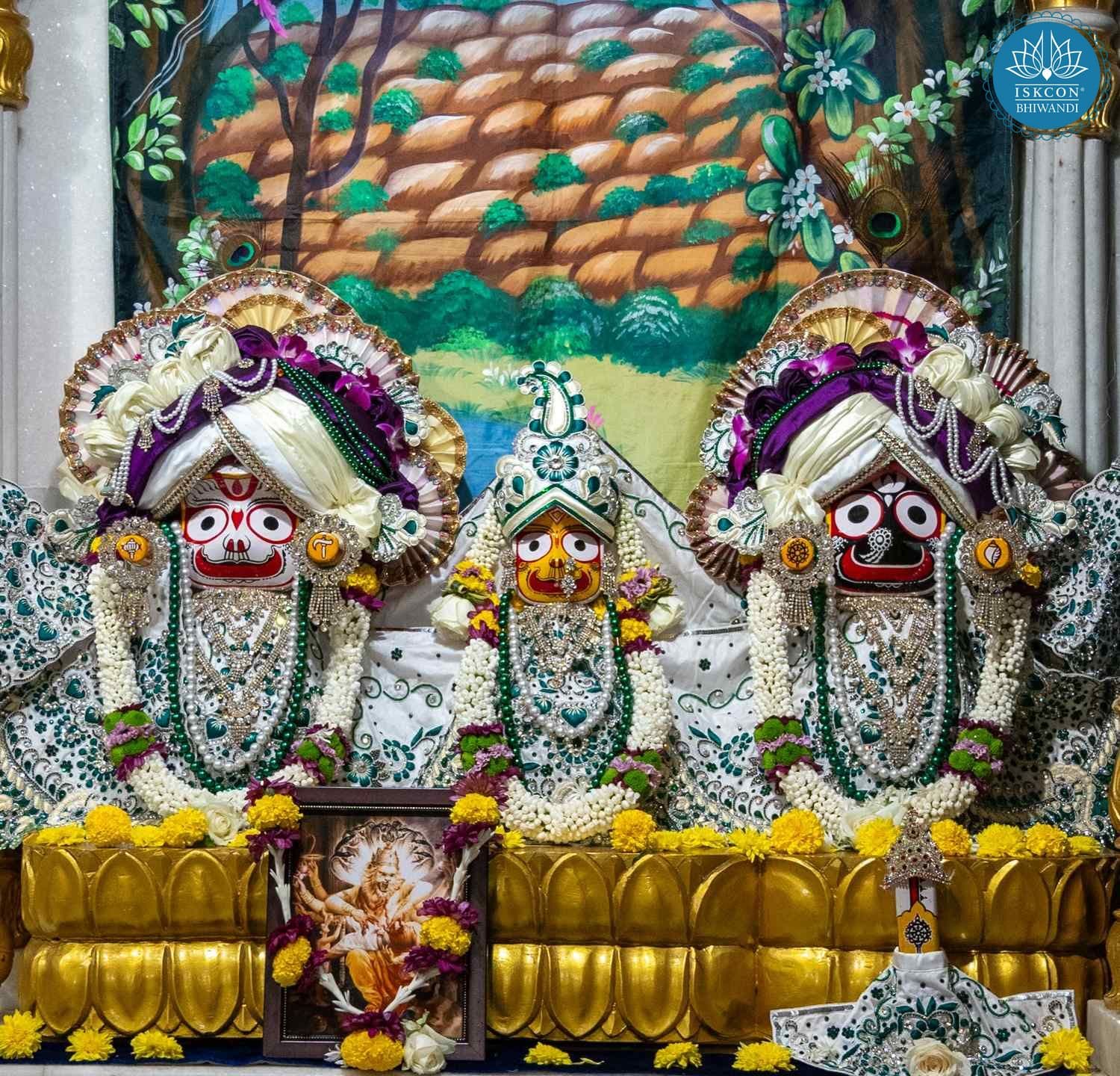 Sringar Darshan photo 3 of 12 — 22 October 2025