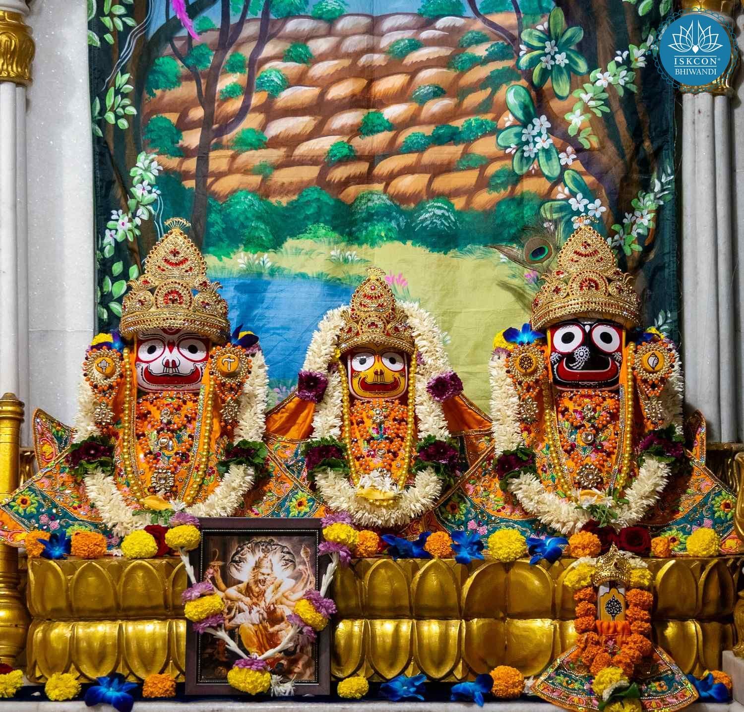 Sringar Darshan photo 3 of 12 — 23 October 2025