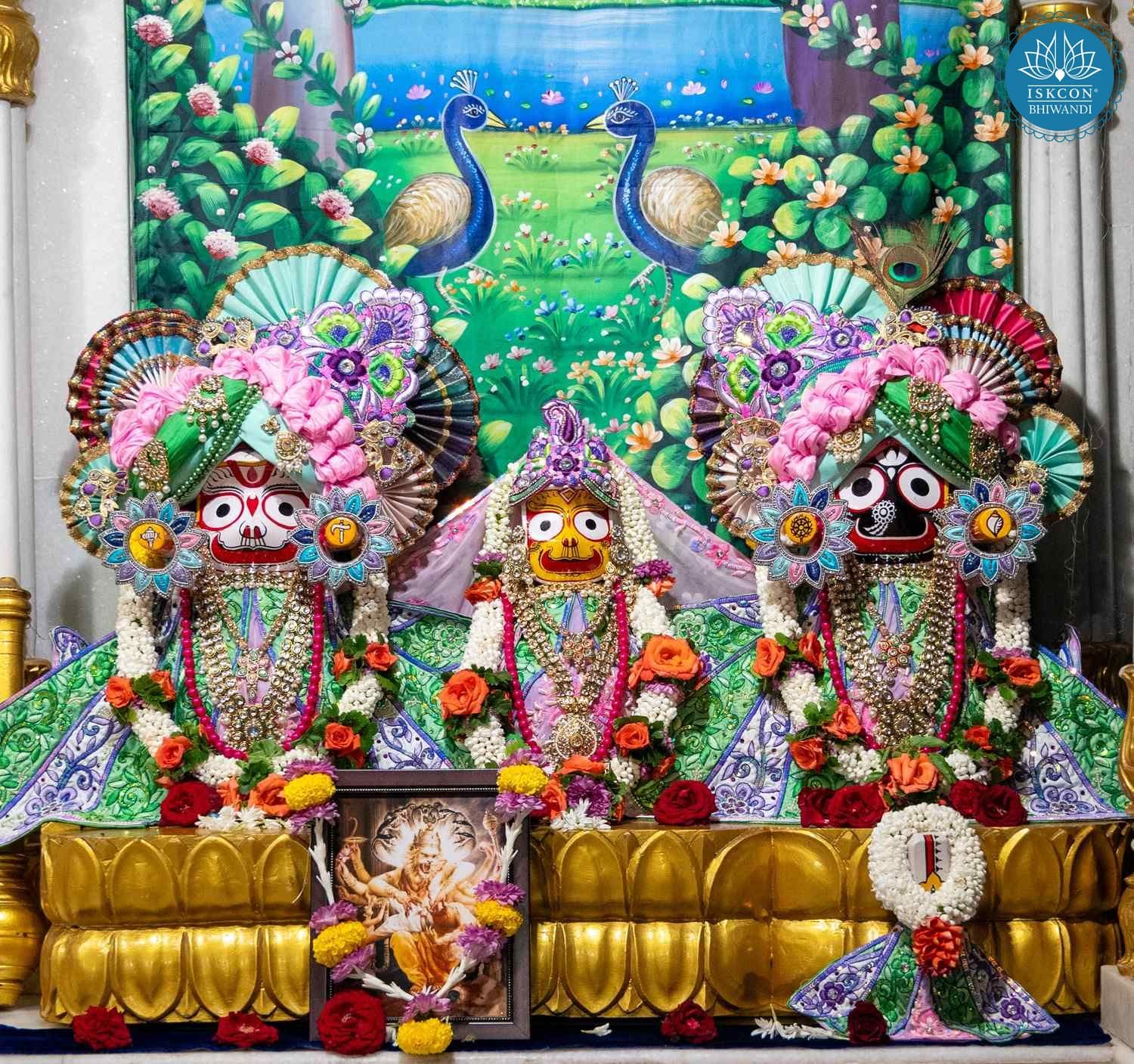 Sringar Darshan photo 9 of 12 — 25 October 2025