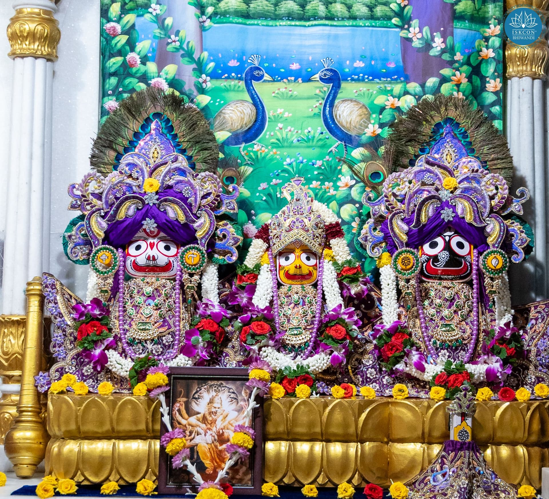 Sringar Darshan photo 9 of 12 — 26 October 2025