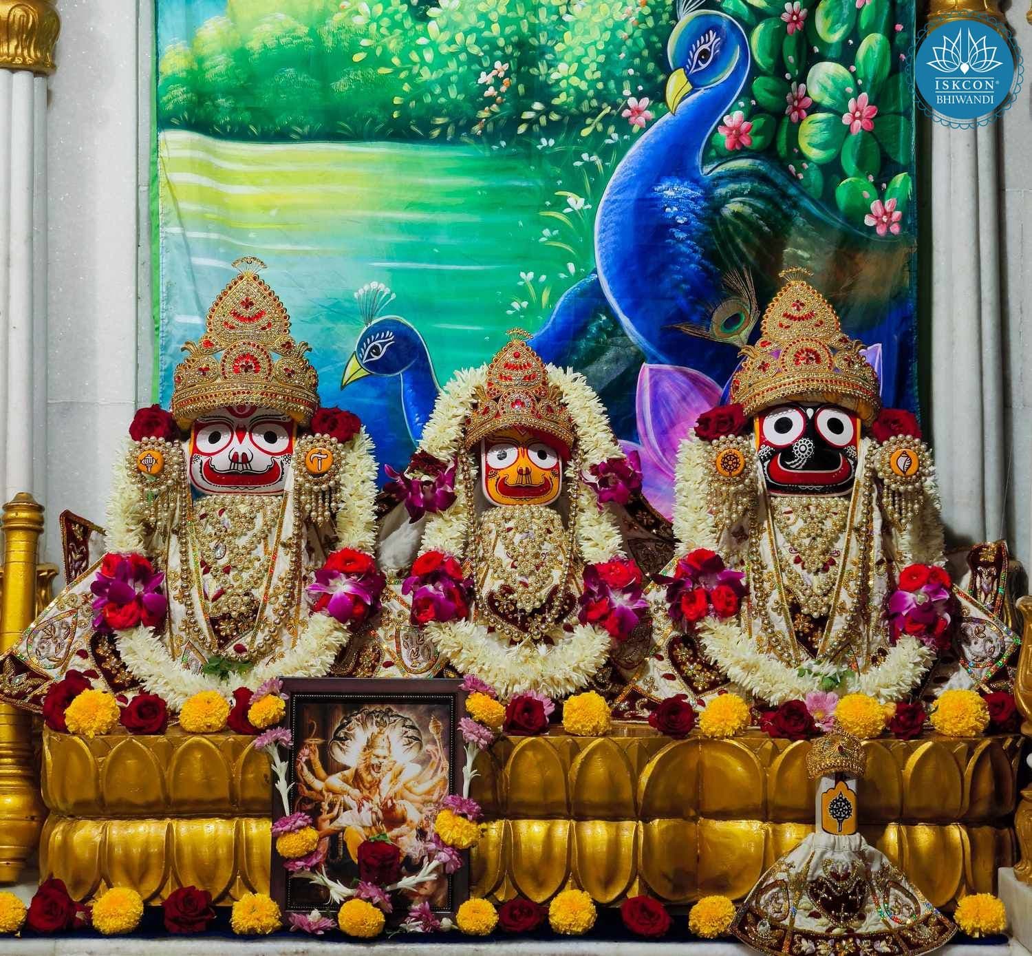 Sringar Darshan photo 4 of 12 — 27 October 2025