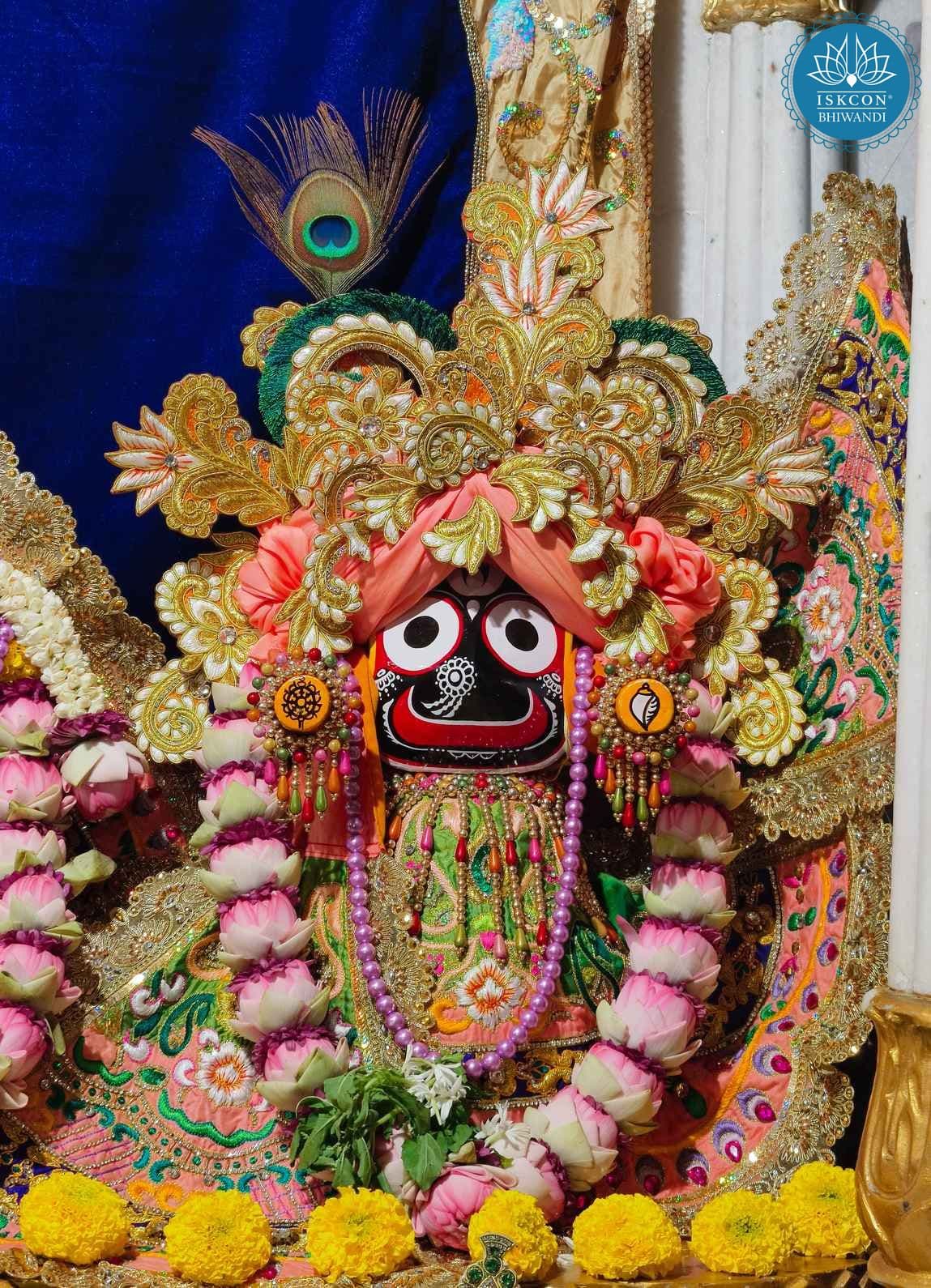 Sringar Darshan photo 7 of 12 — 29 October 2025