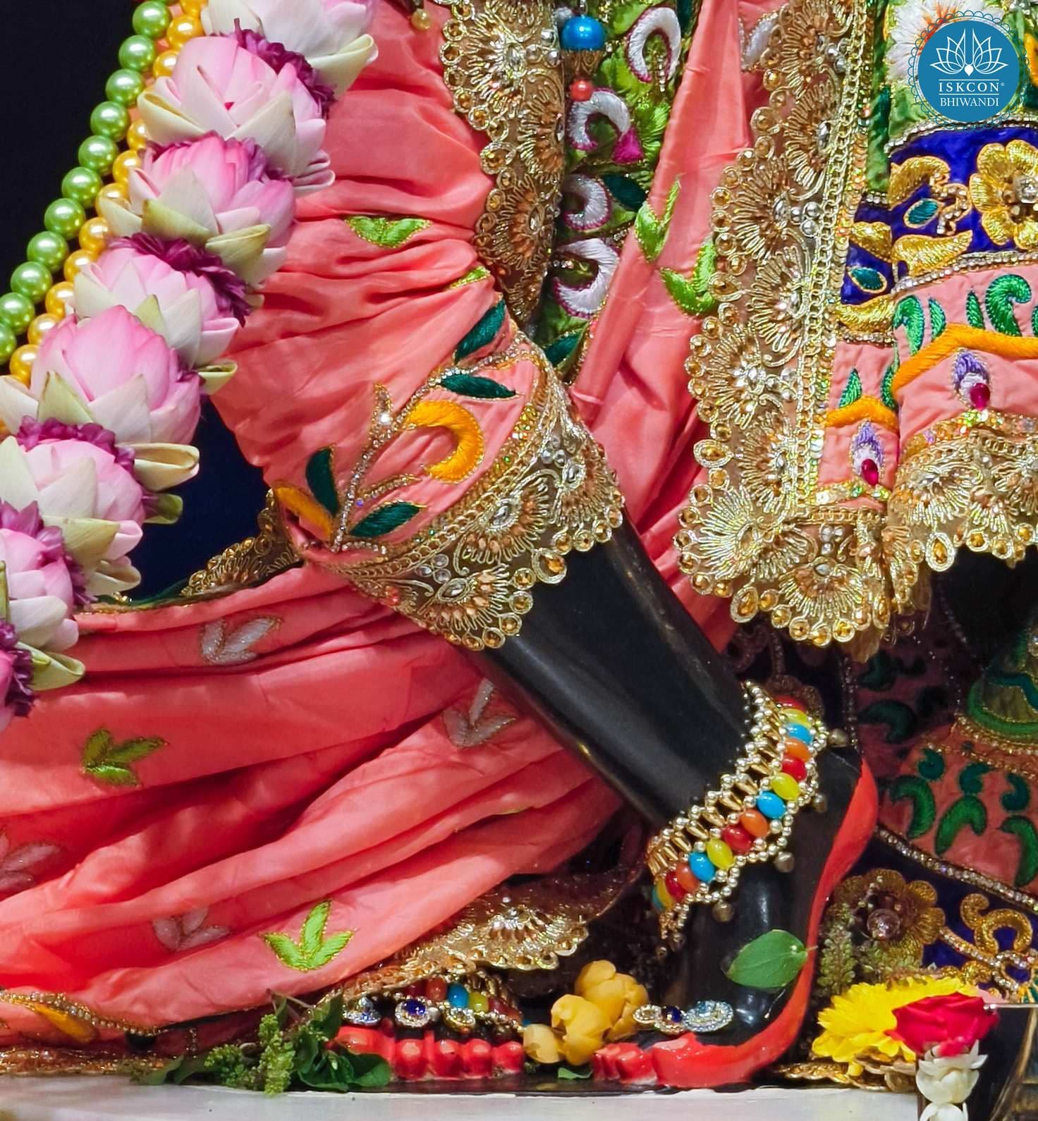 Sringar Darshan photo 3 of 12 — 29 October 2025