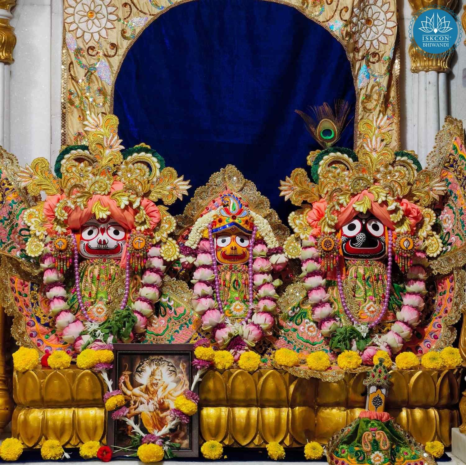 Sringar Darshan photo 4 of 12 — 29 October 2025